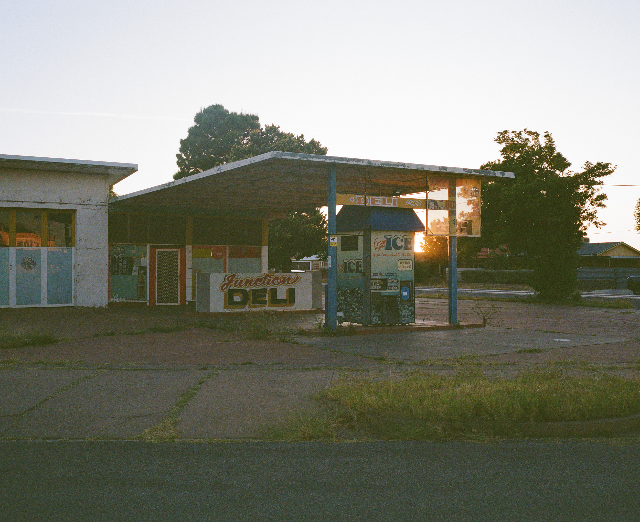 The Collective Force - Kinfolk Journeys