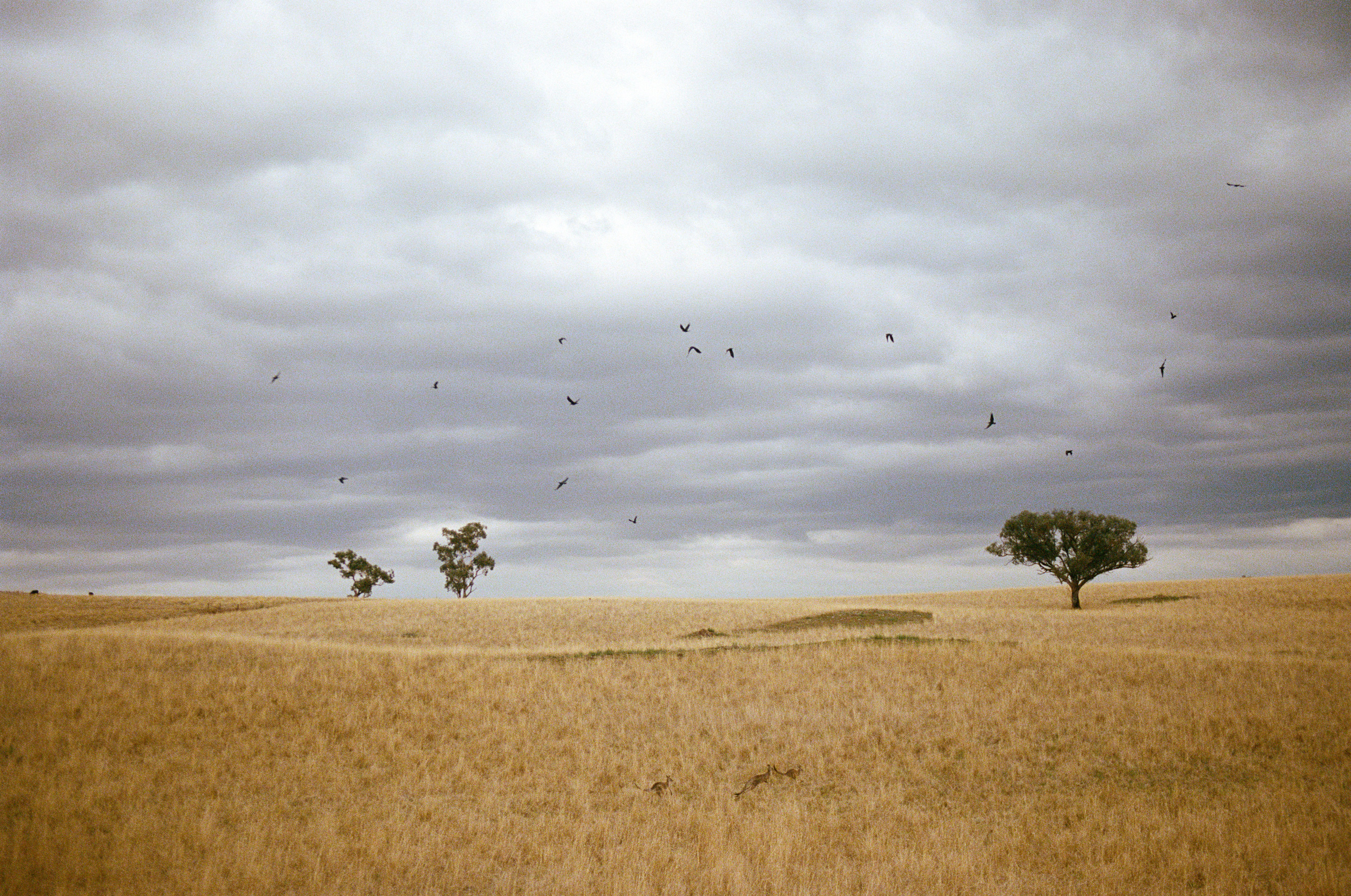 The Collective Force - Kinfolk Journeys