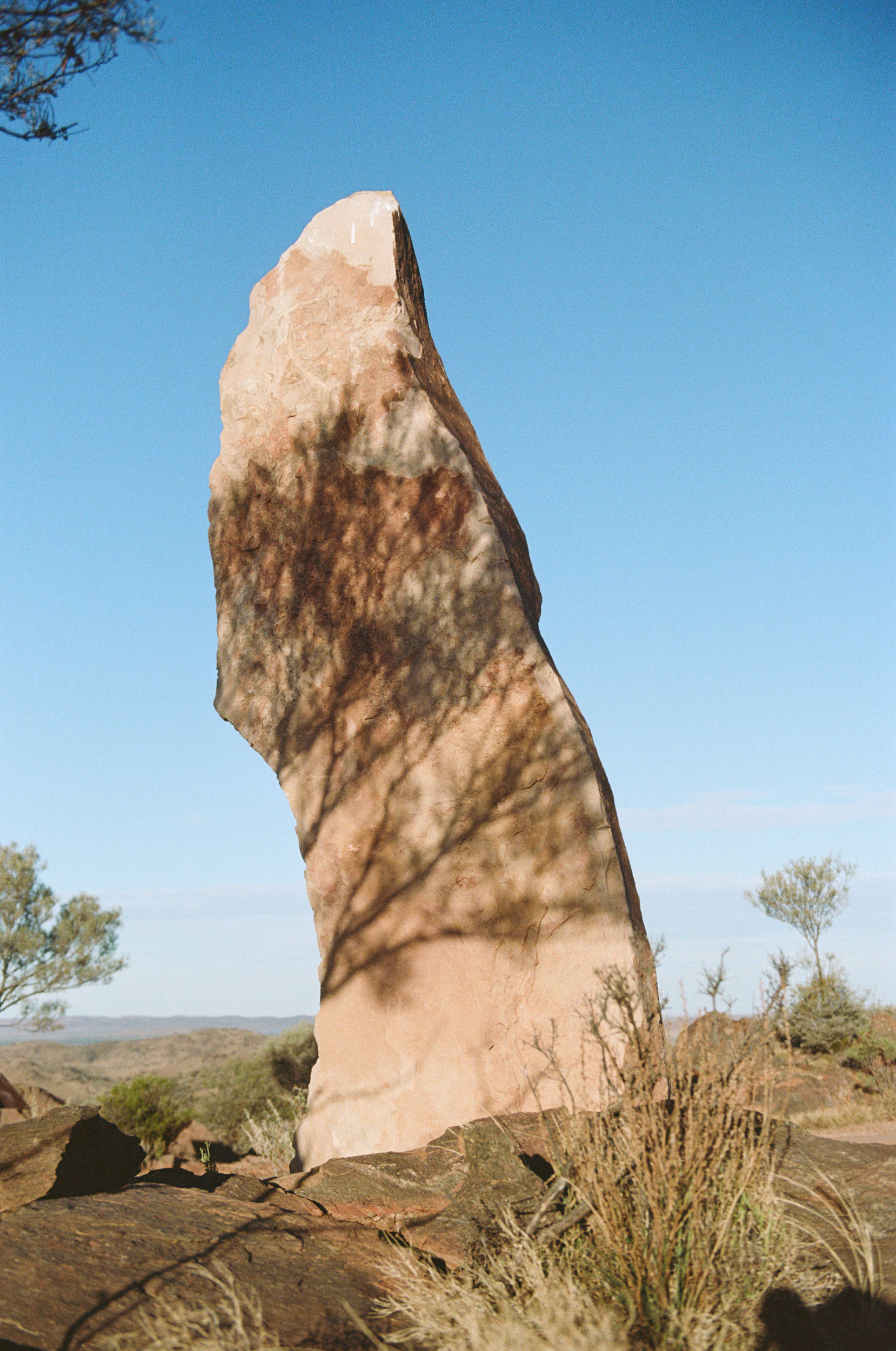 The Collective Force - Kinfolk Journeys