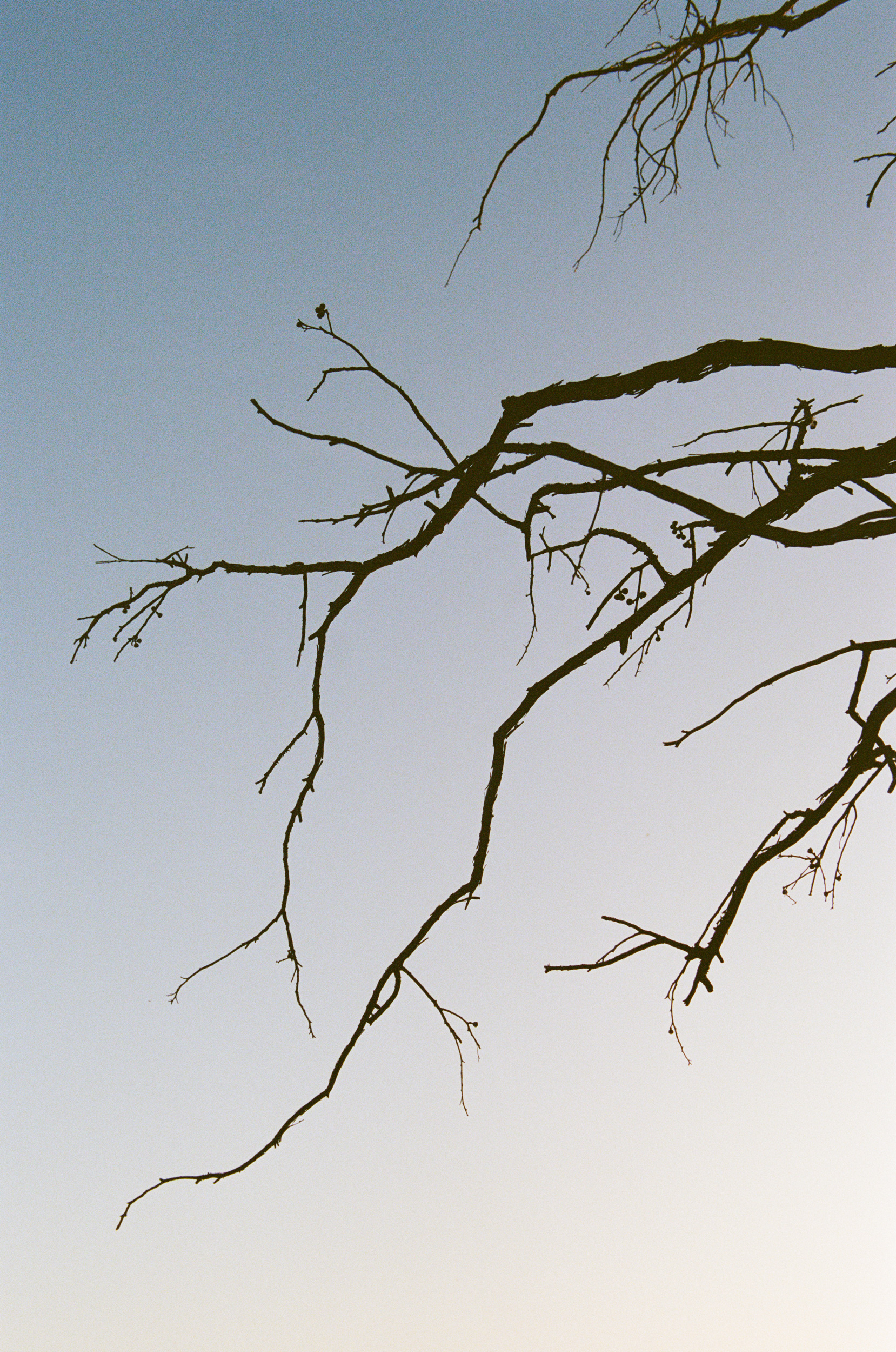 The Collective Force - Kinfolk Journeys