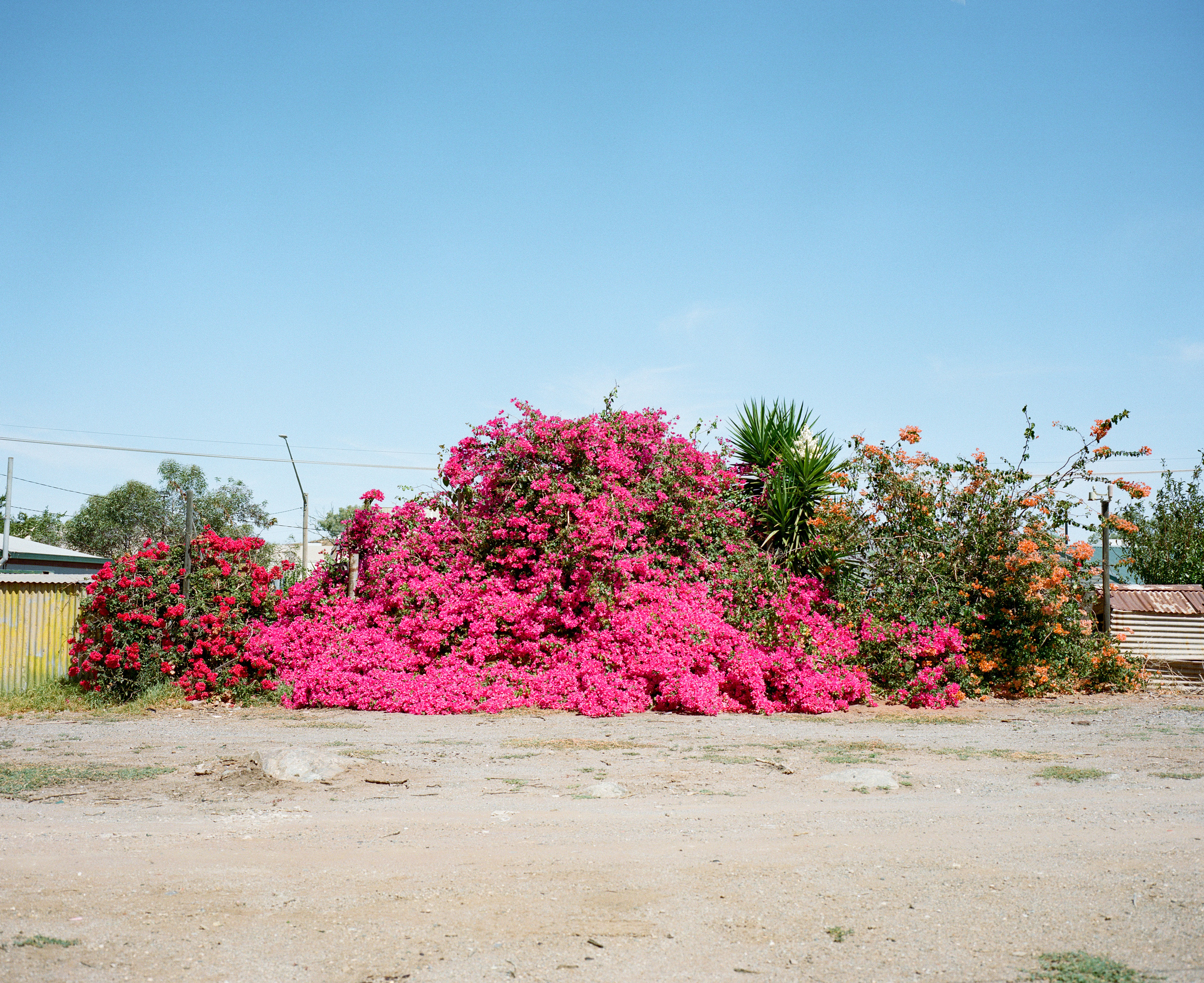 The Collective Force - Kinfolk Journeys