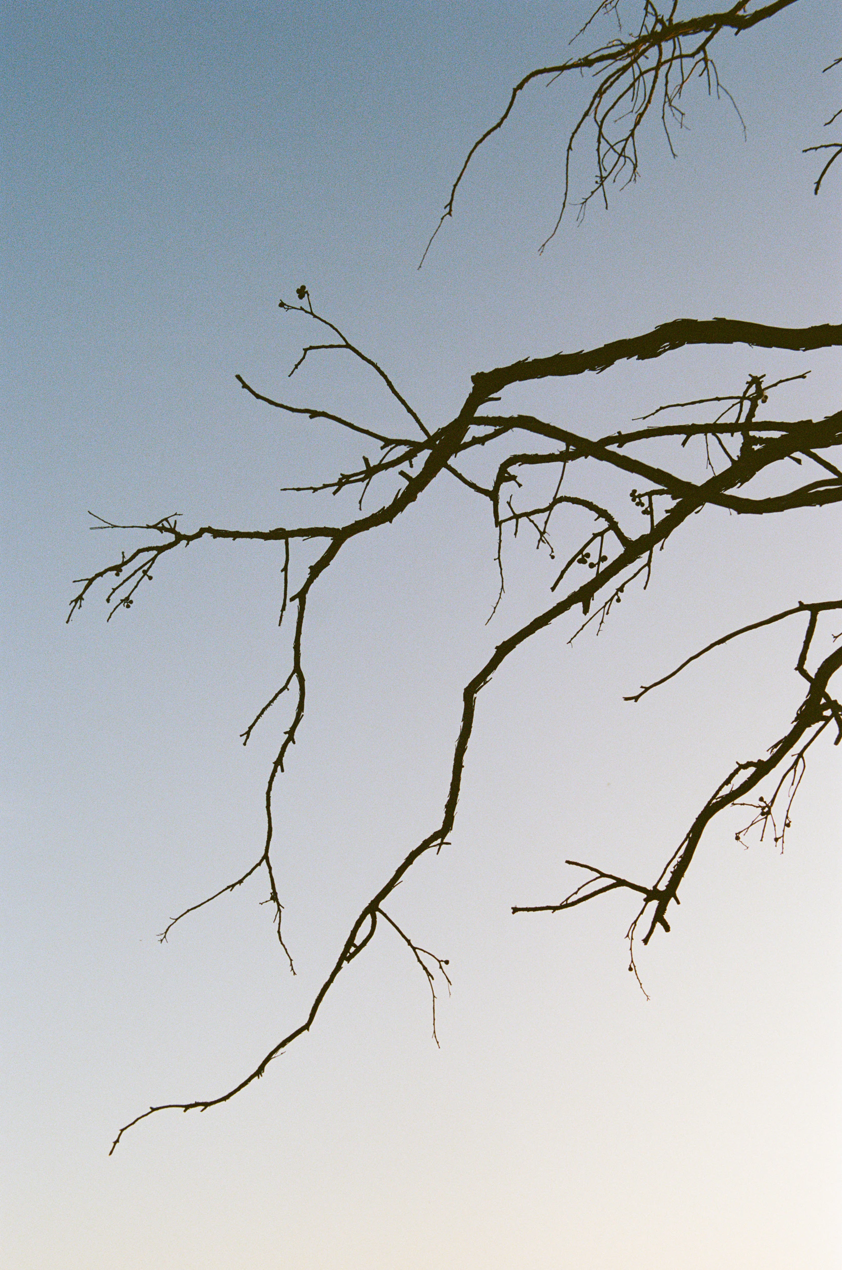 The Collective Force - Kinfolk Journeys