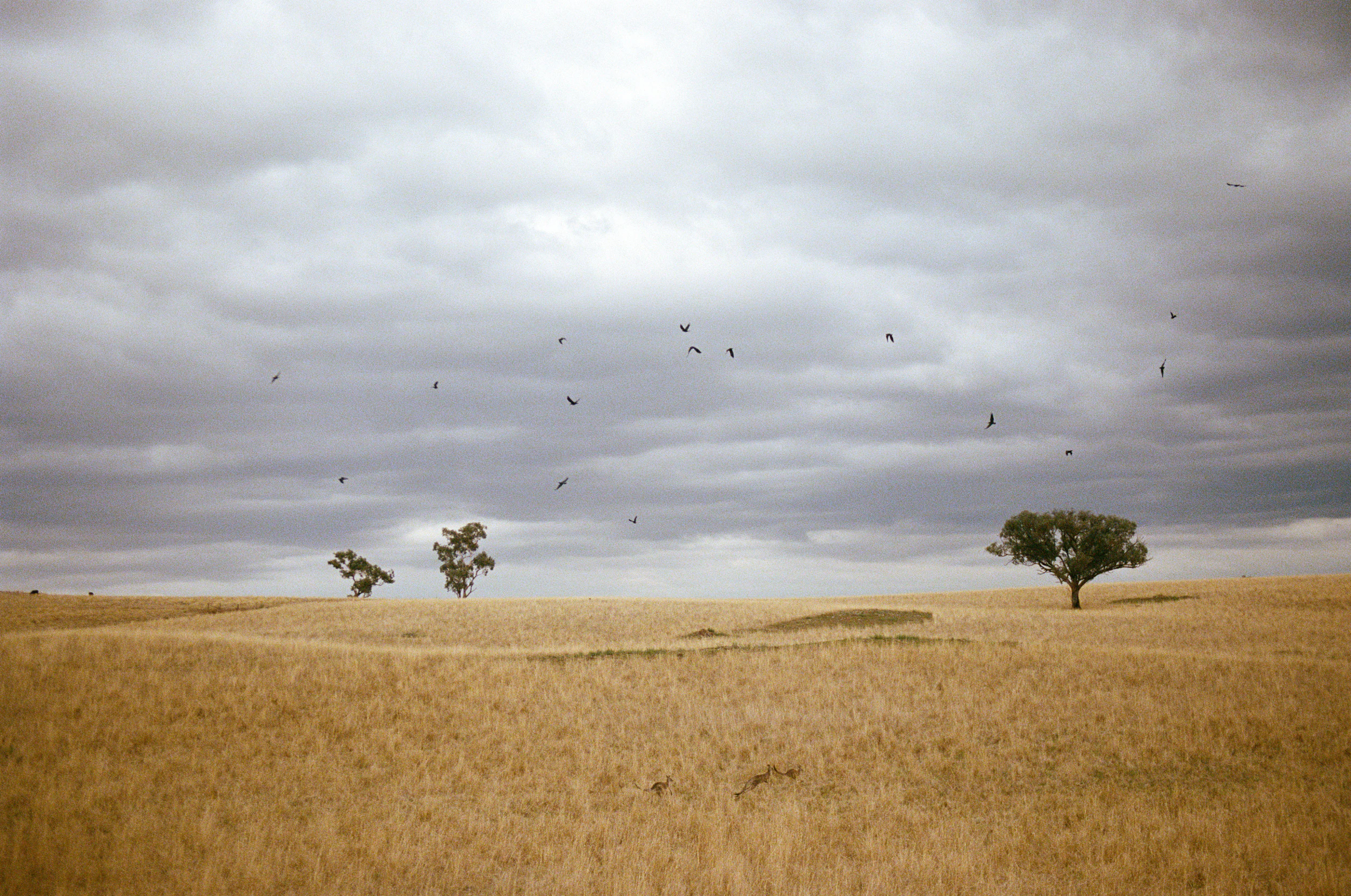 The Collective Force - Kinfolk Journeys