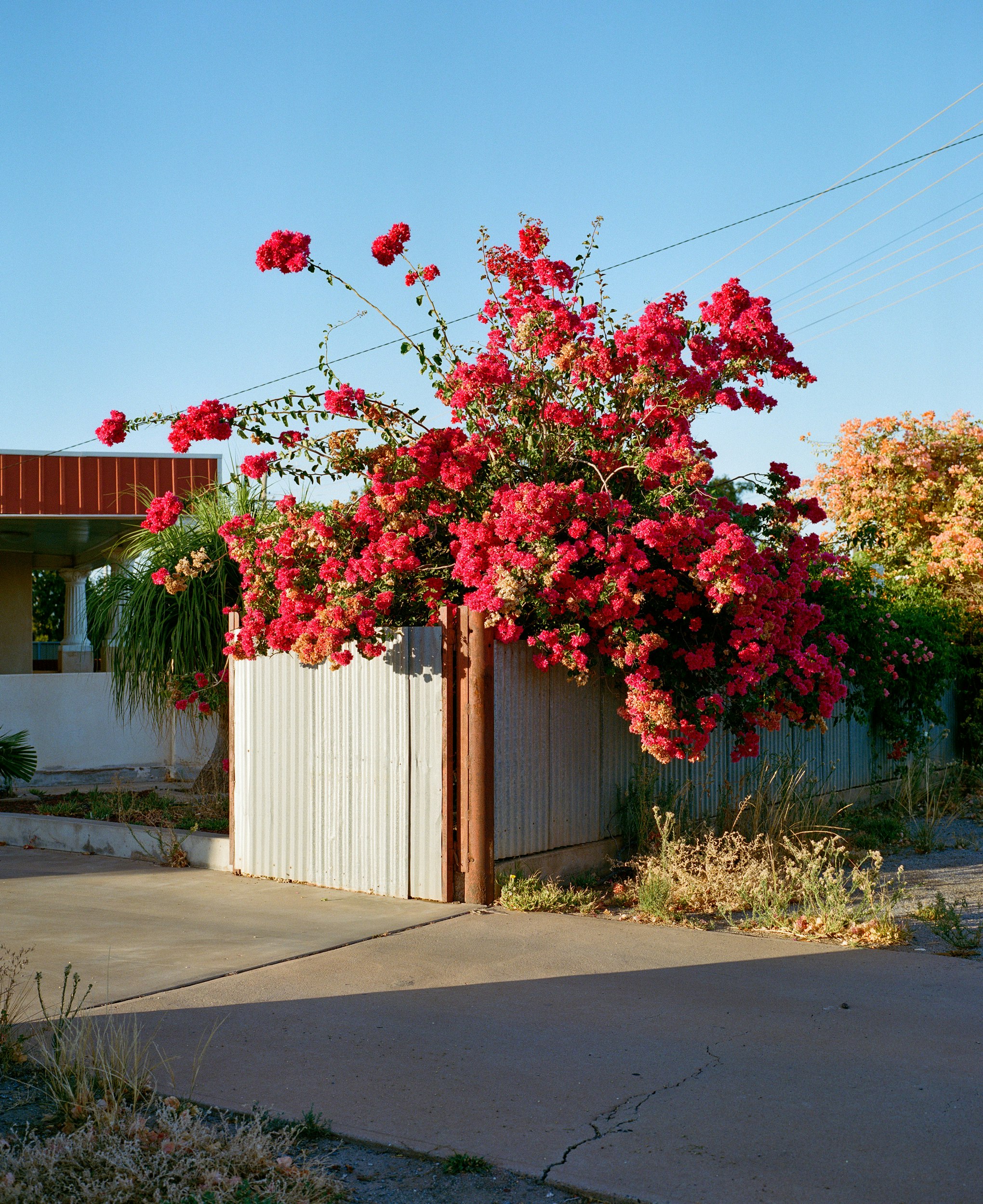 The Collective Force - Kinfolk Journeys