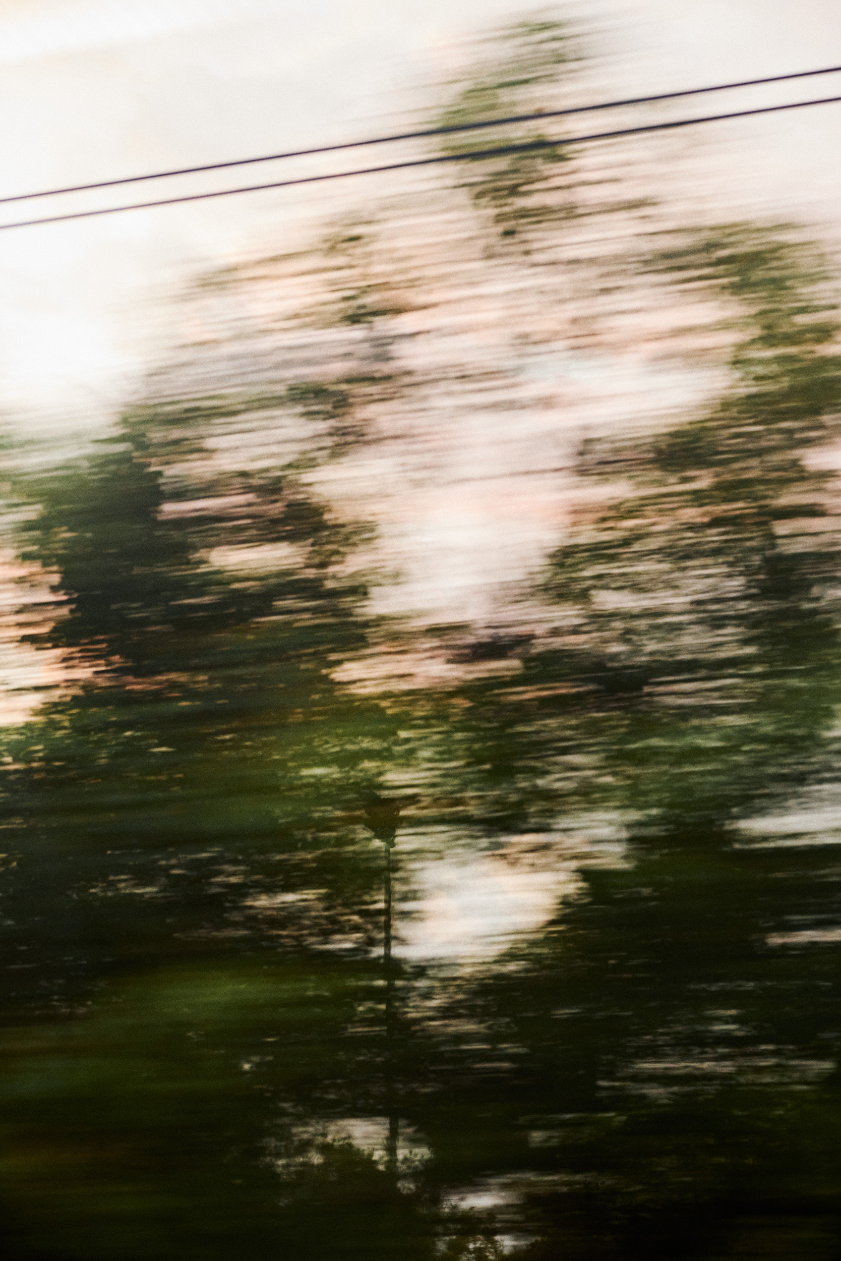 The Collective Force - Kinfolk Journeys