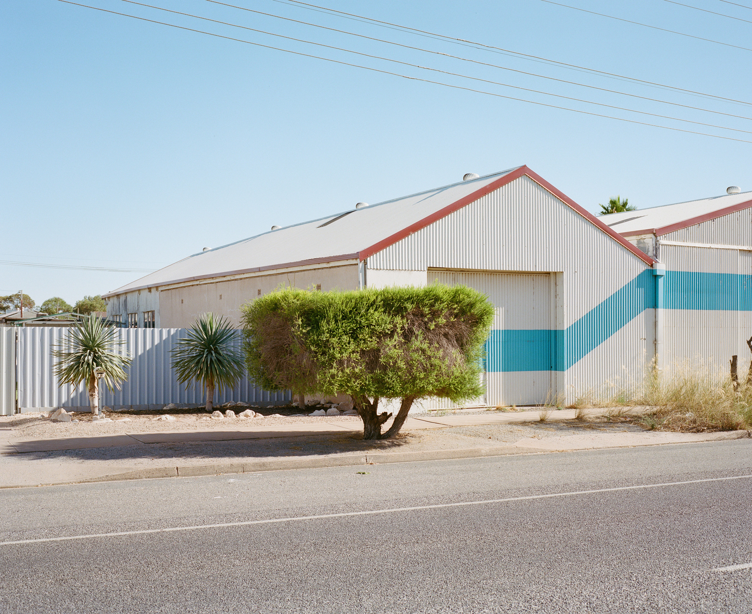 The Collective Force - Kinfolk Journeys