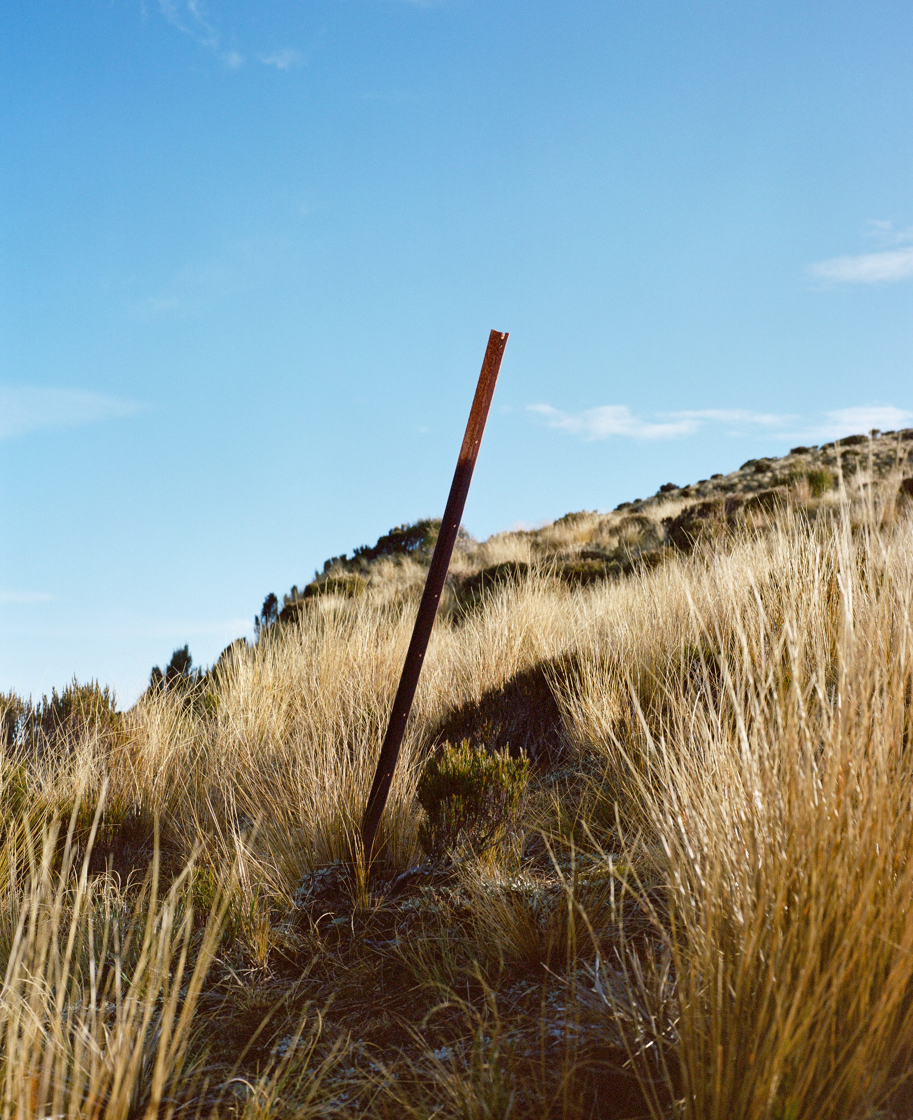 The Collective Force - Kinfolk | Mt Brown Hut