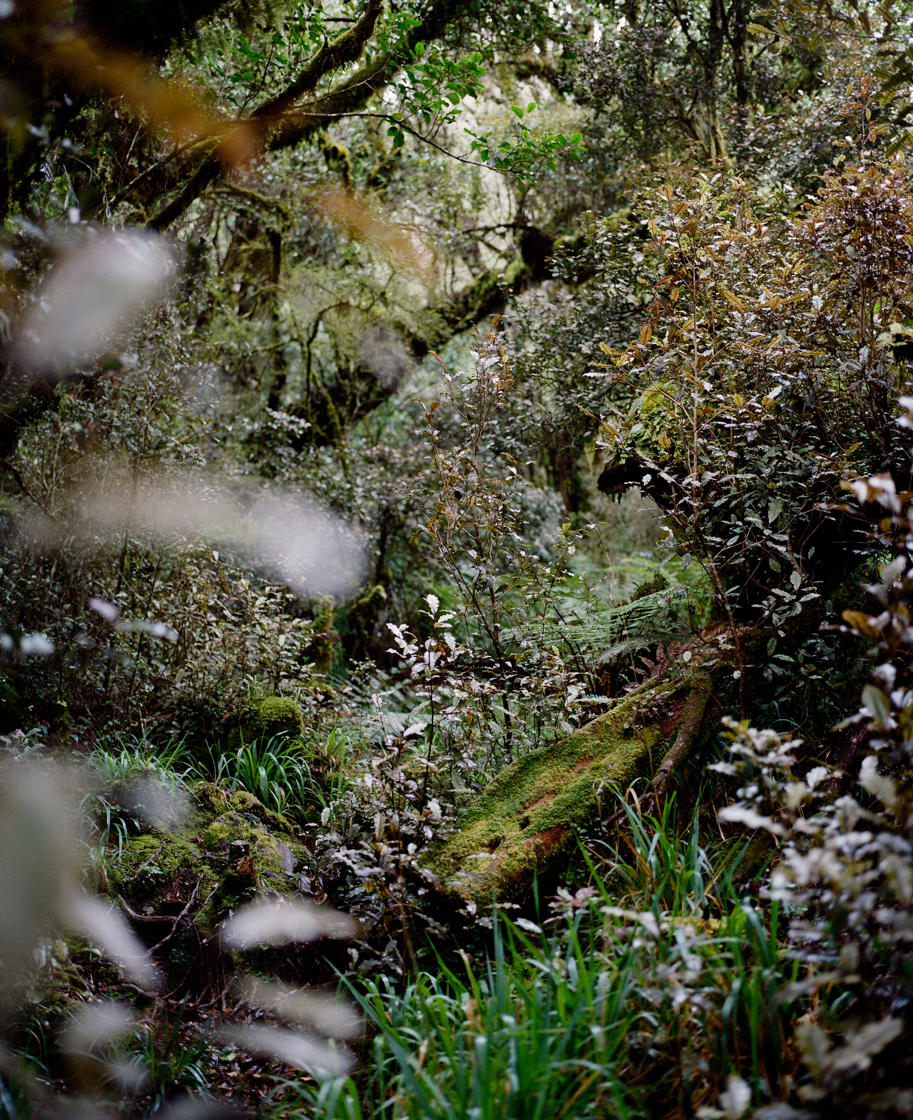 The Collective Force - Kinfolk | Mt Brown Hut