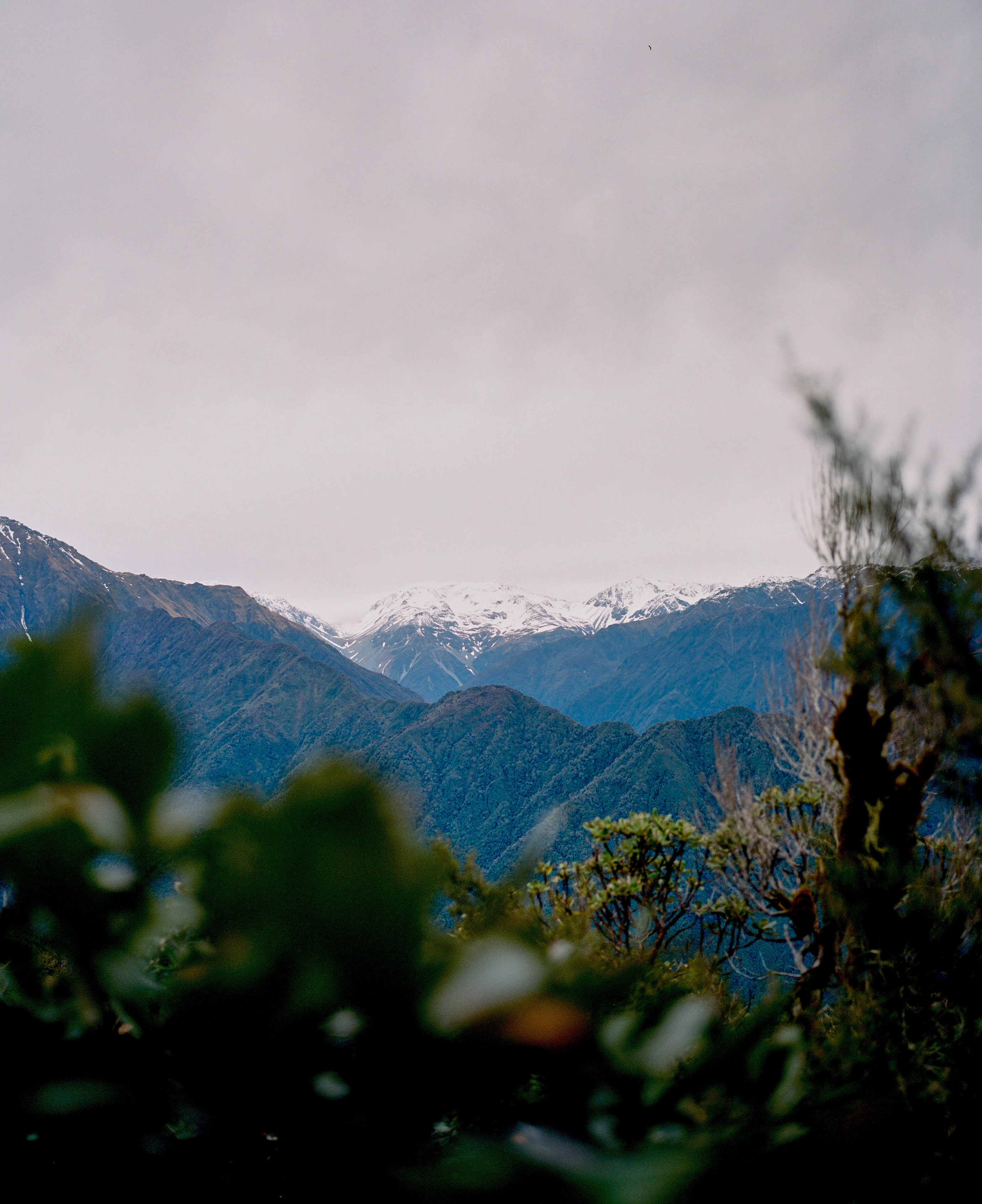 The Collective Force - Kinfolk | Mt Brown Hut