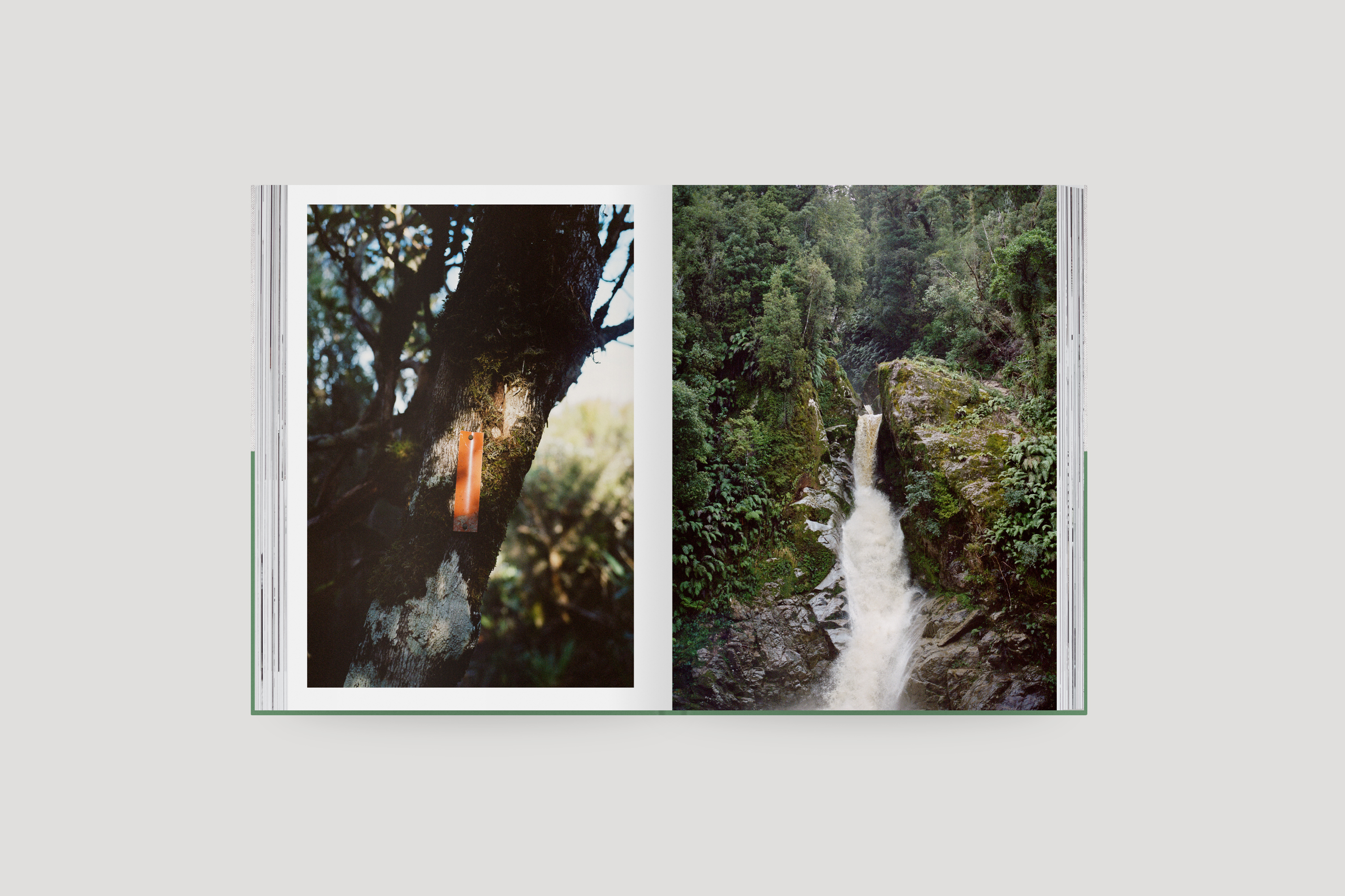 The Collective Force - Kinfolk | Mt Brown Hut