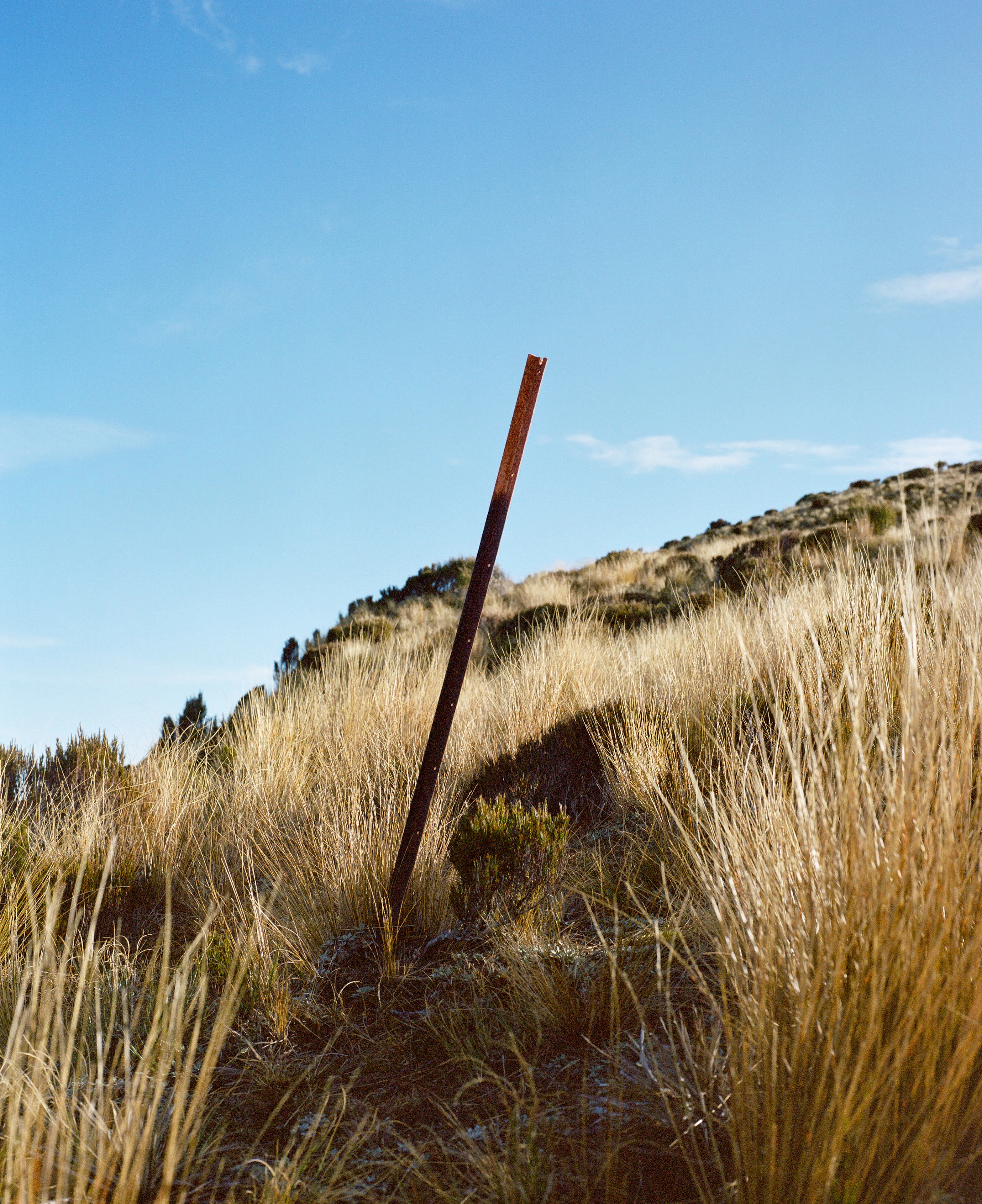 The Collective Force - Kinfolk | Mt Brown Hut
