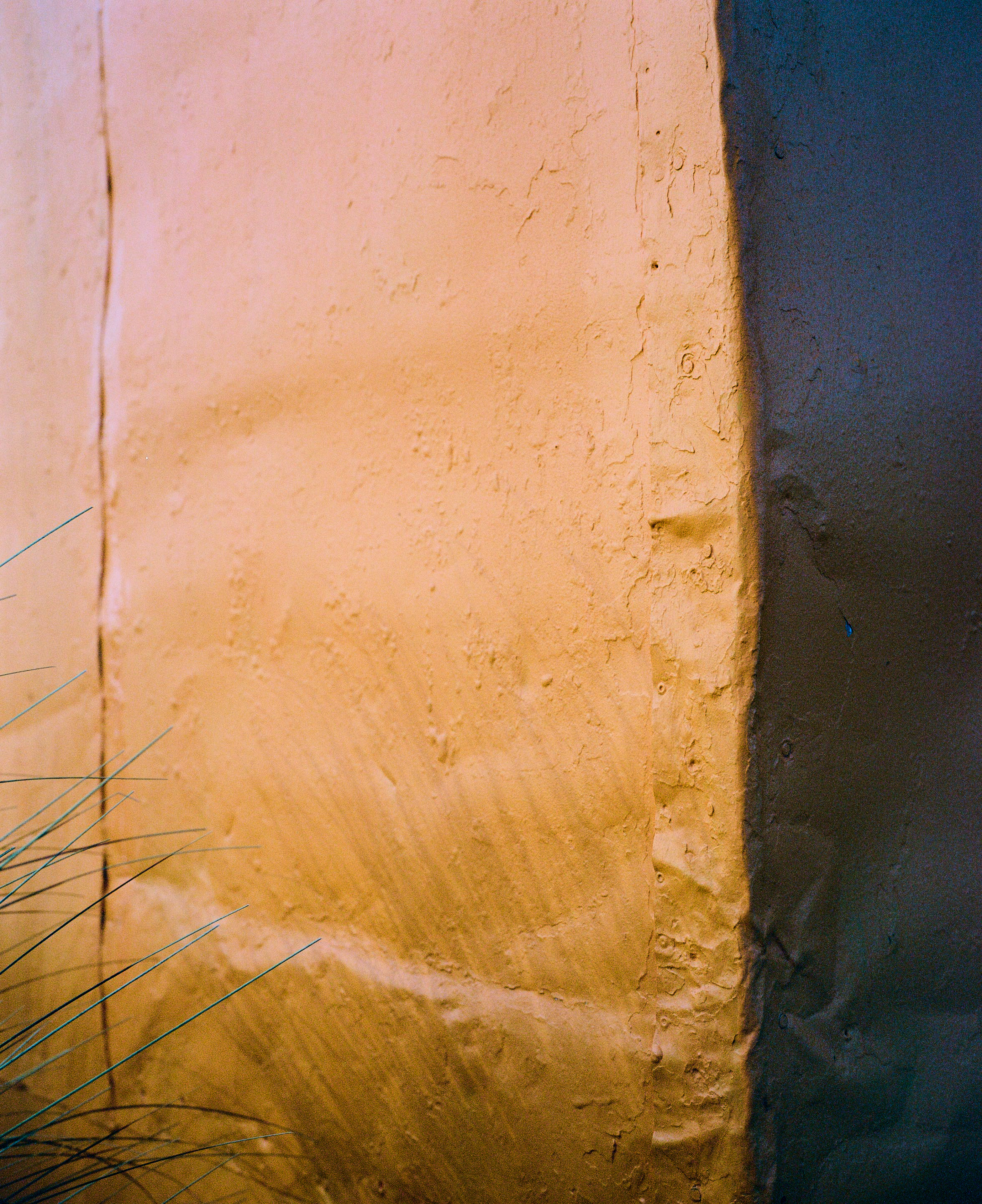 The Collective Force - Kinfolk | Mt Brown Hut