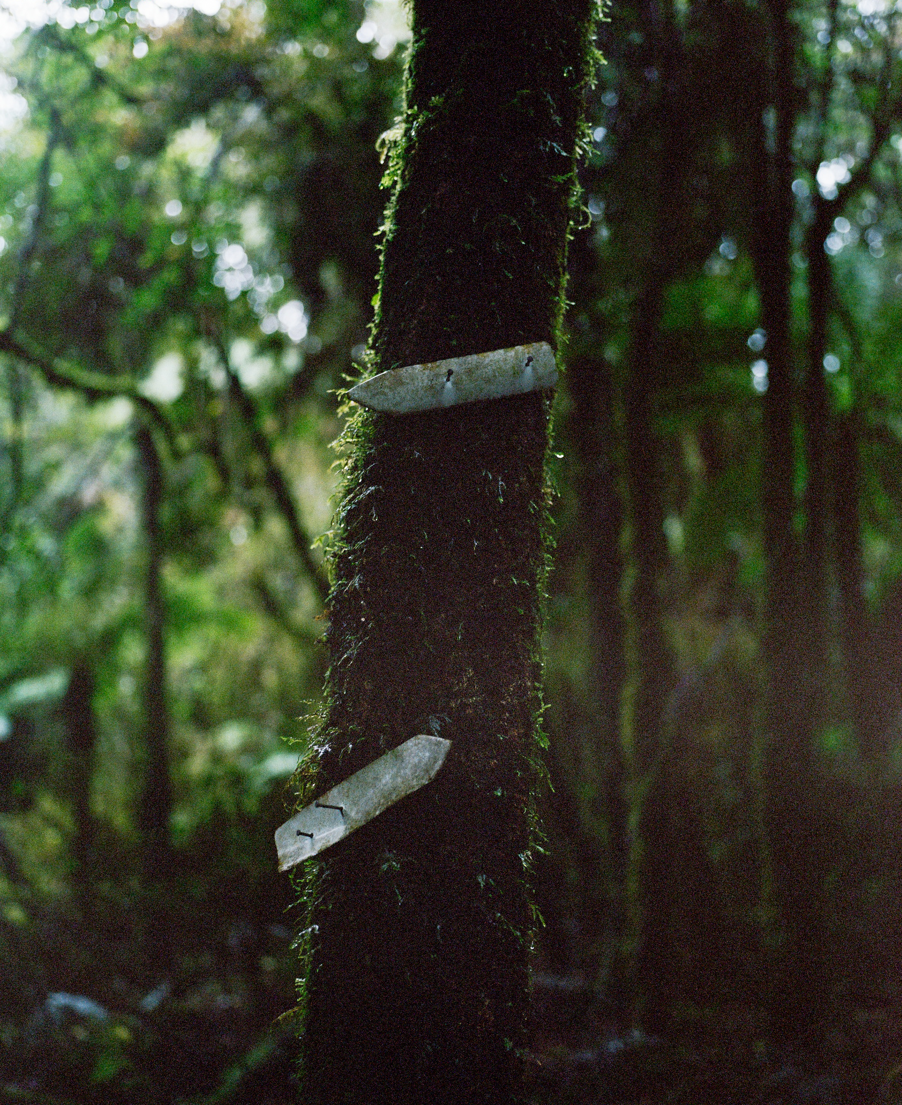 The Collective Force - Kinfolk | Mt Brown Hut