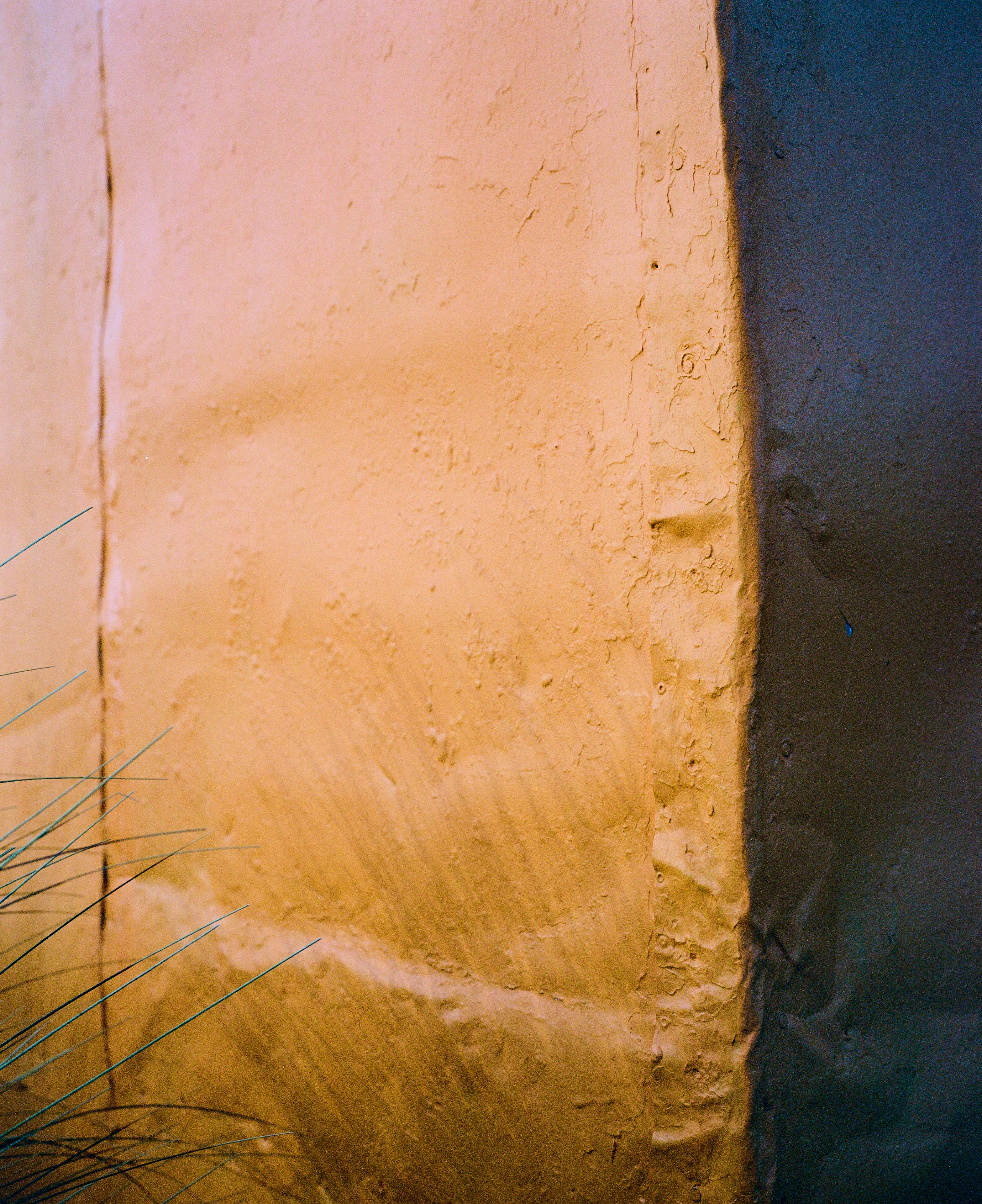 The Collective Force - Kinfolk | Mt Brown Hut