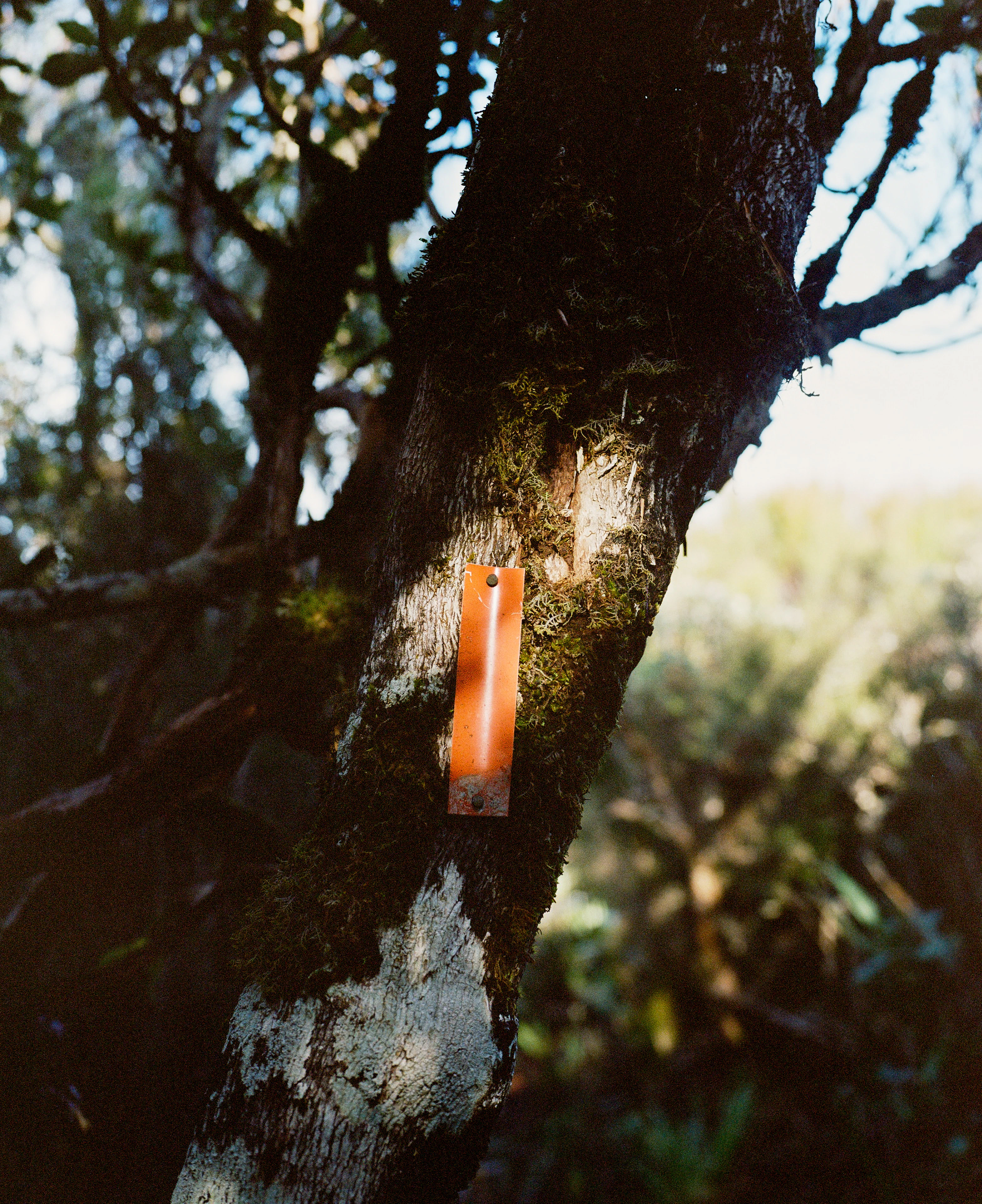 The Collective Force - Kinfolk | Mt Brown Hut