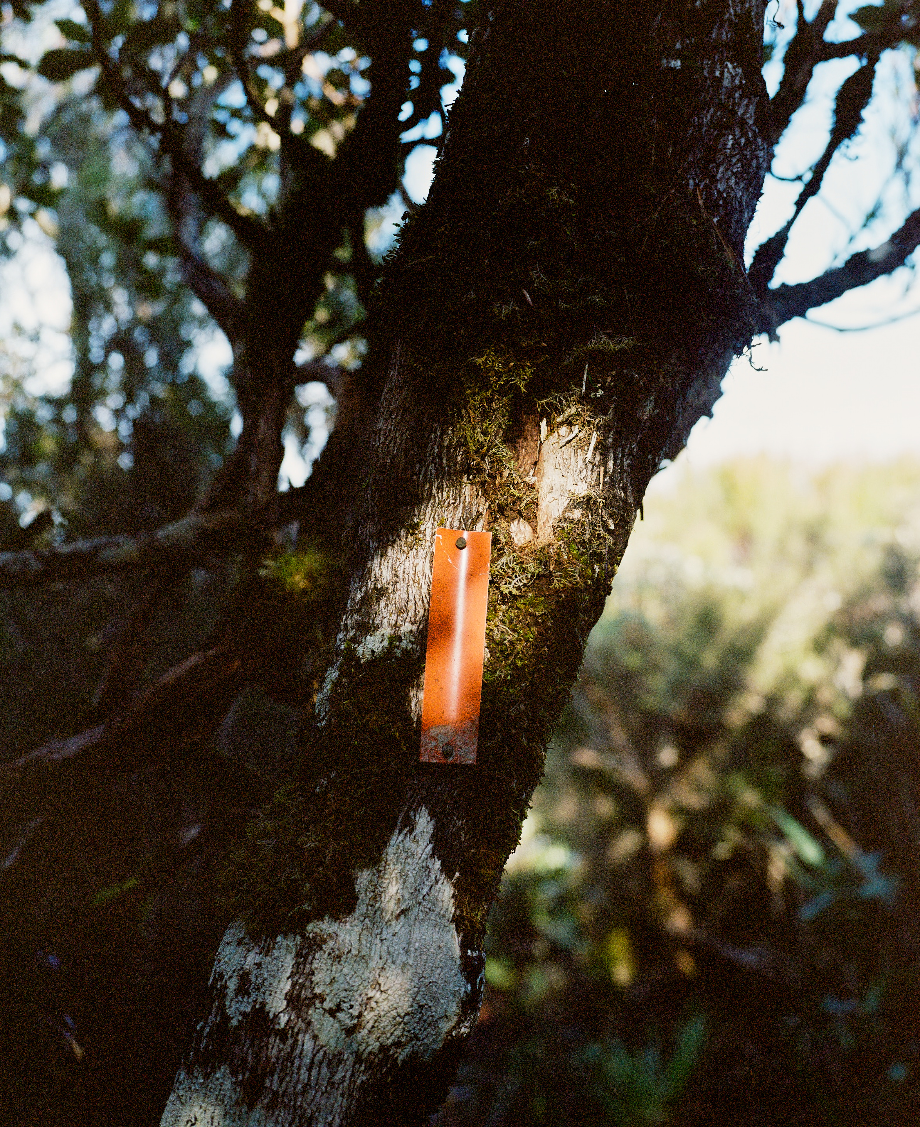 The Collective Force - Kinfolk | Mt Brown Hut