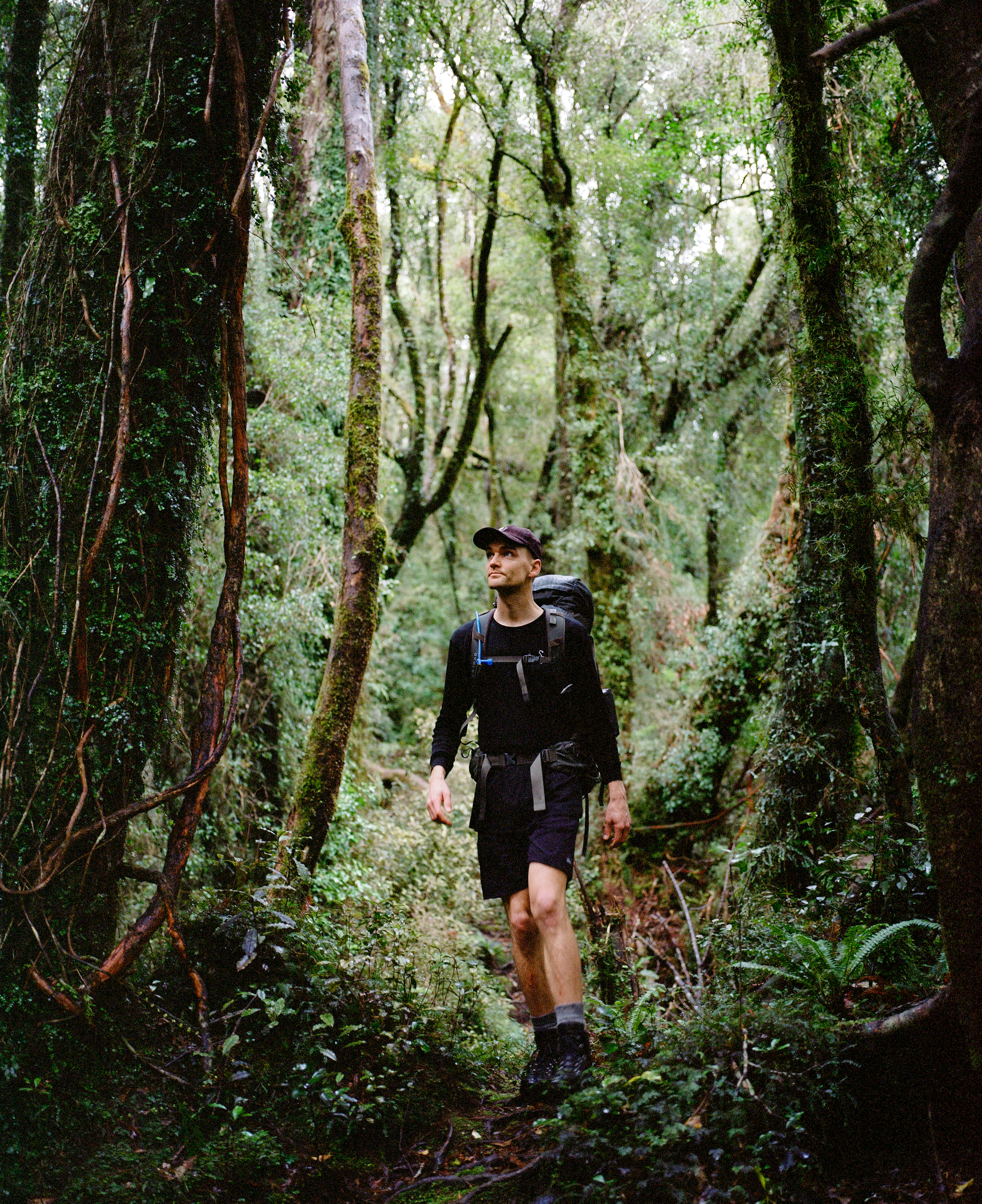 The Collective Force - Kinfolk | Mt Brown Hut