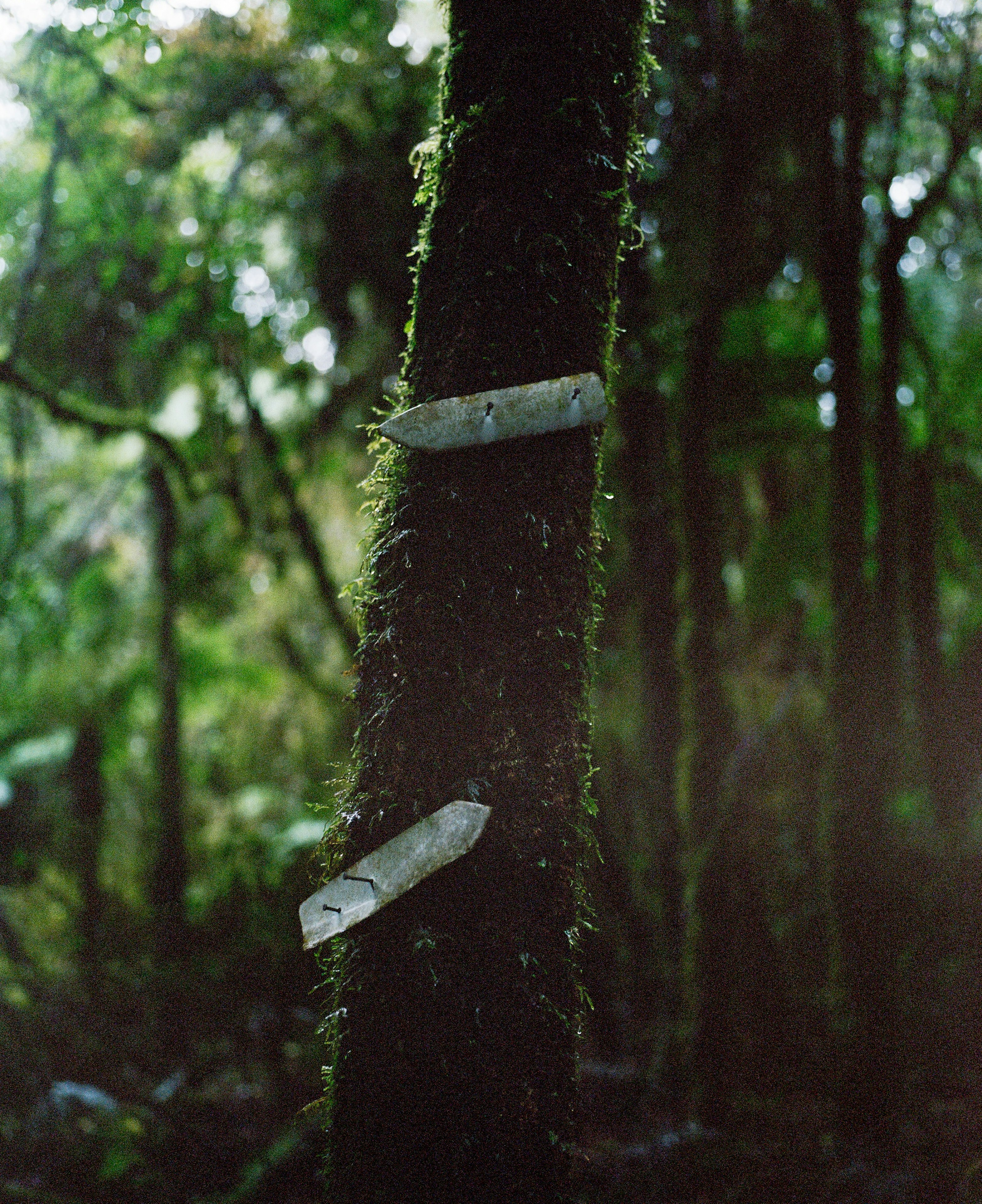 The Collective Force - Kinfolk | Mt Brown Hut