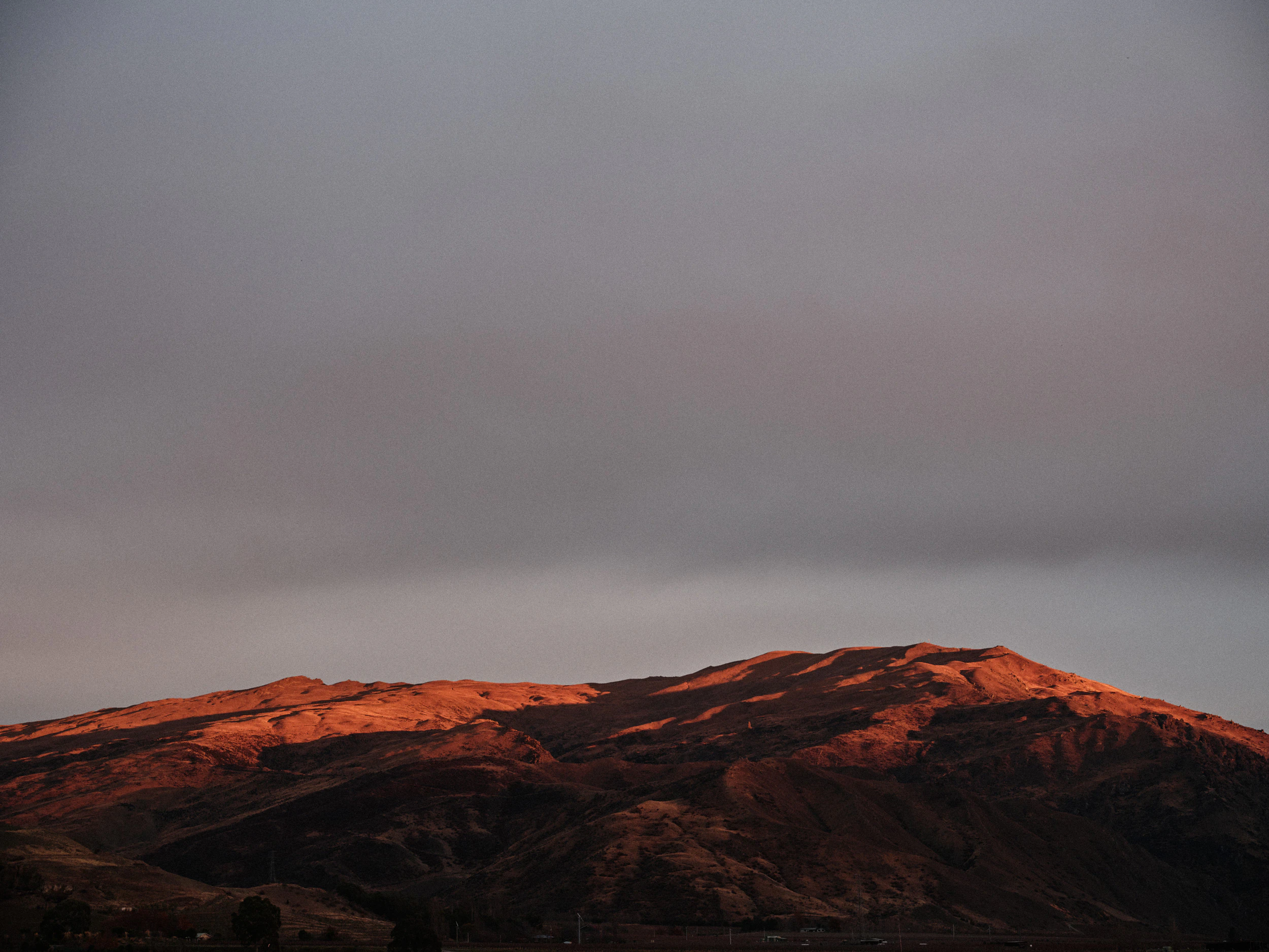 The Collective Force - Kiwi Cru