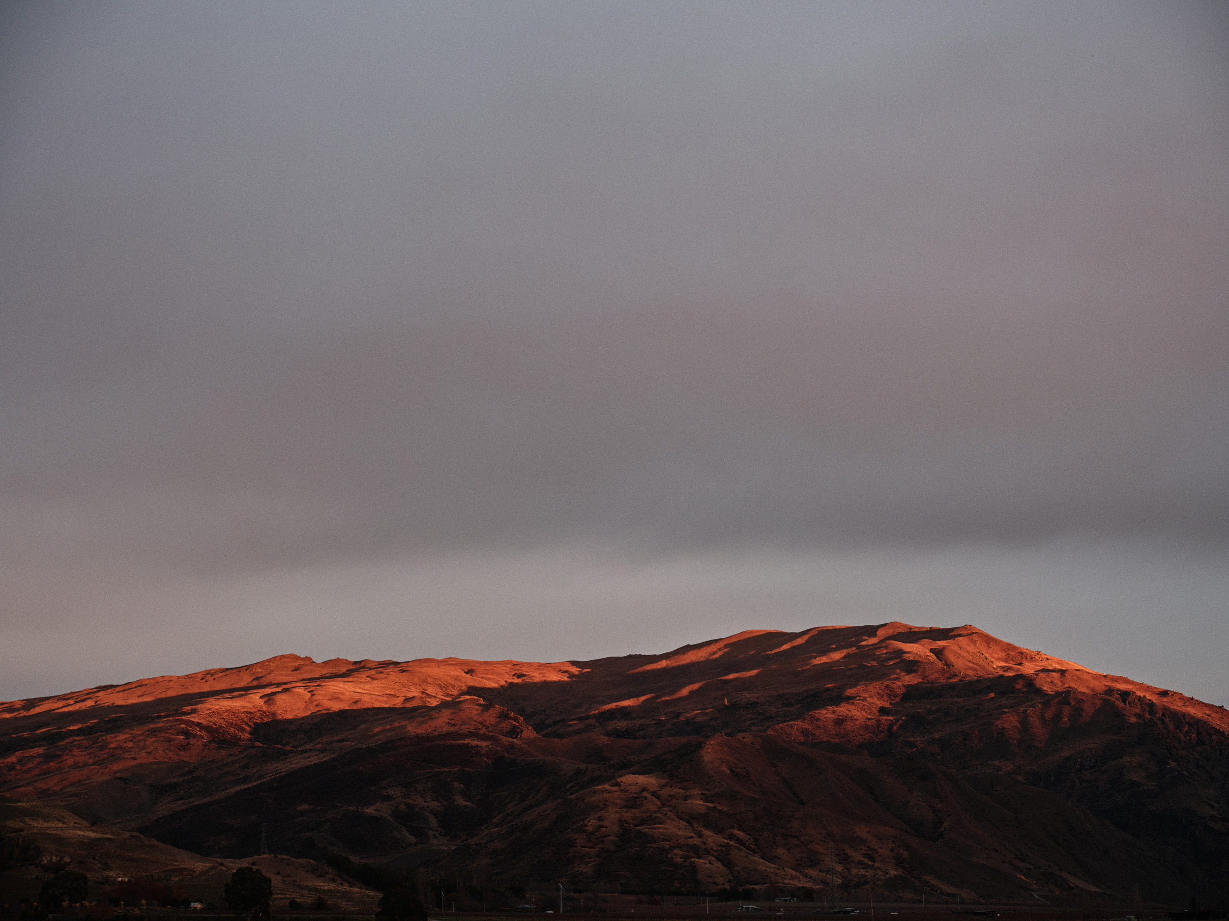 The Collective Force - Kiwi Cru