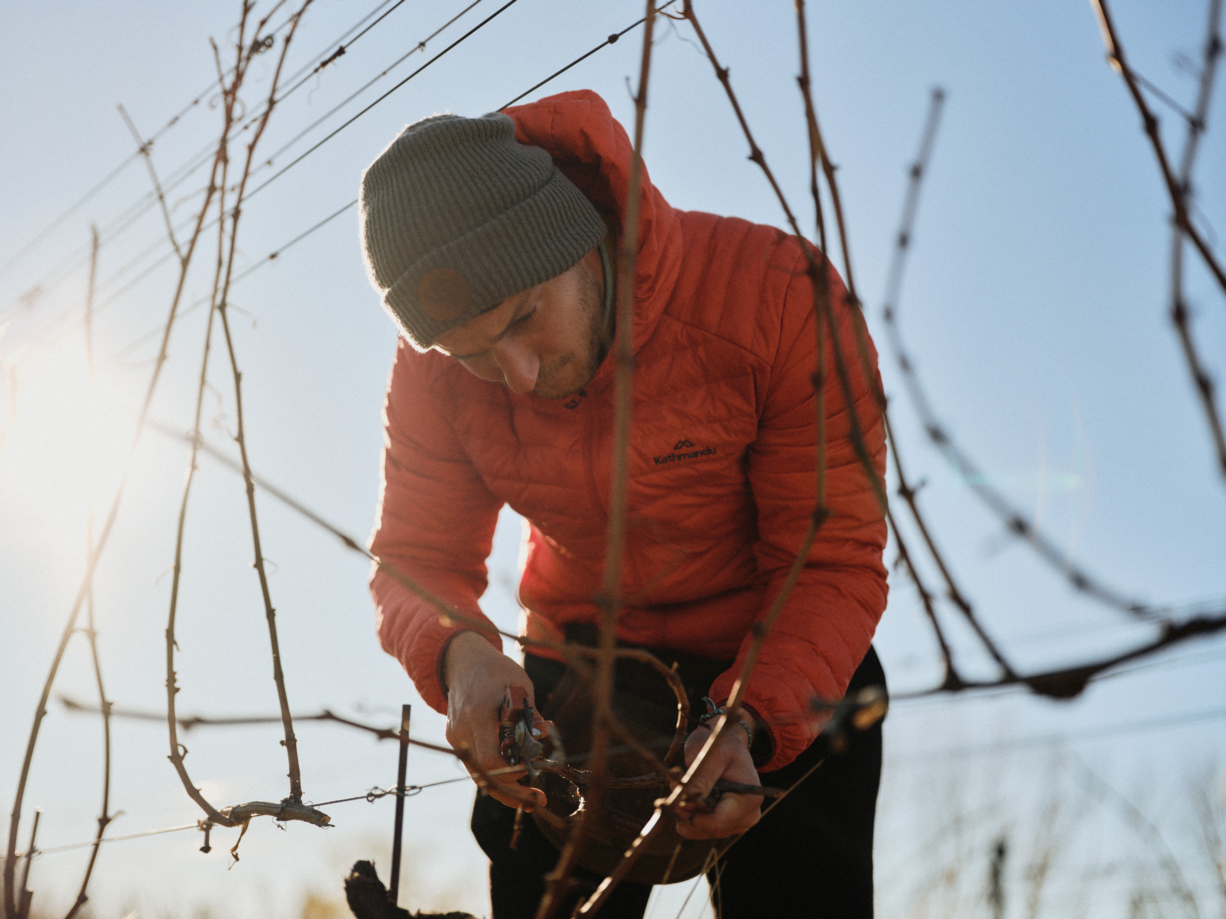 The Collective Force - Kiwi Cru