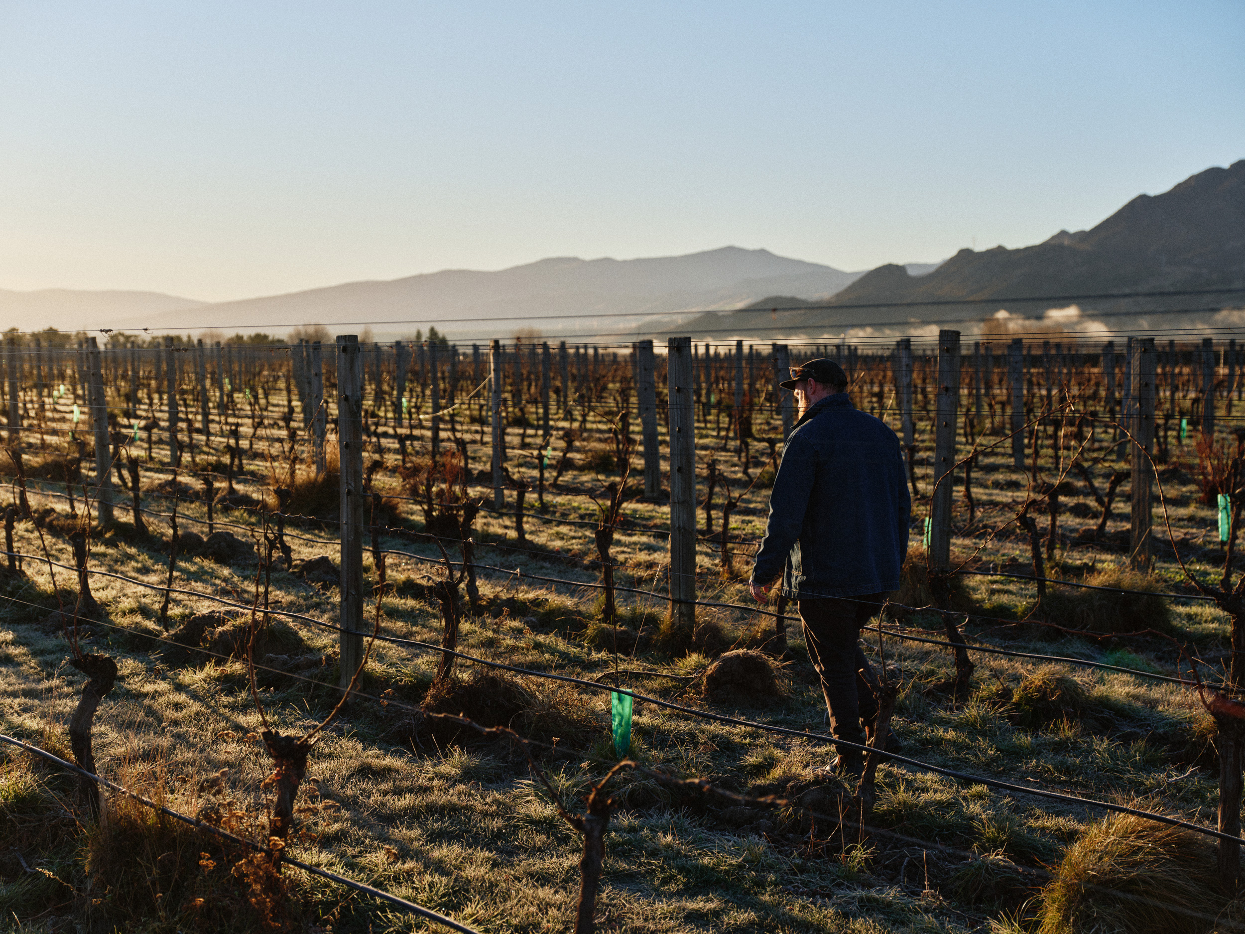 The Collective Force - Kiwi Cru