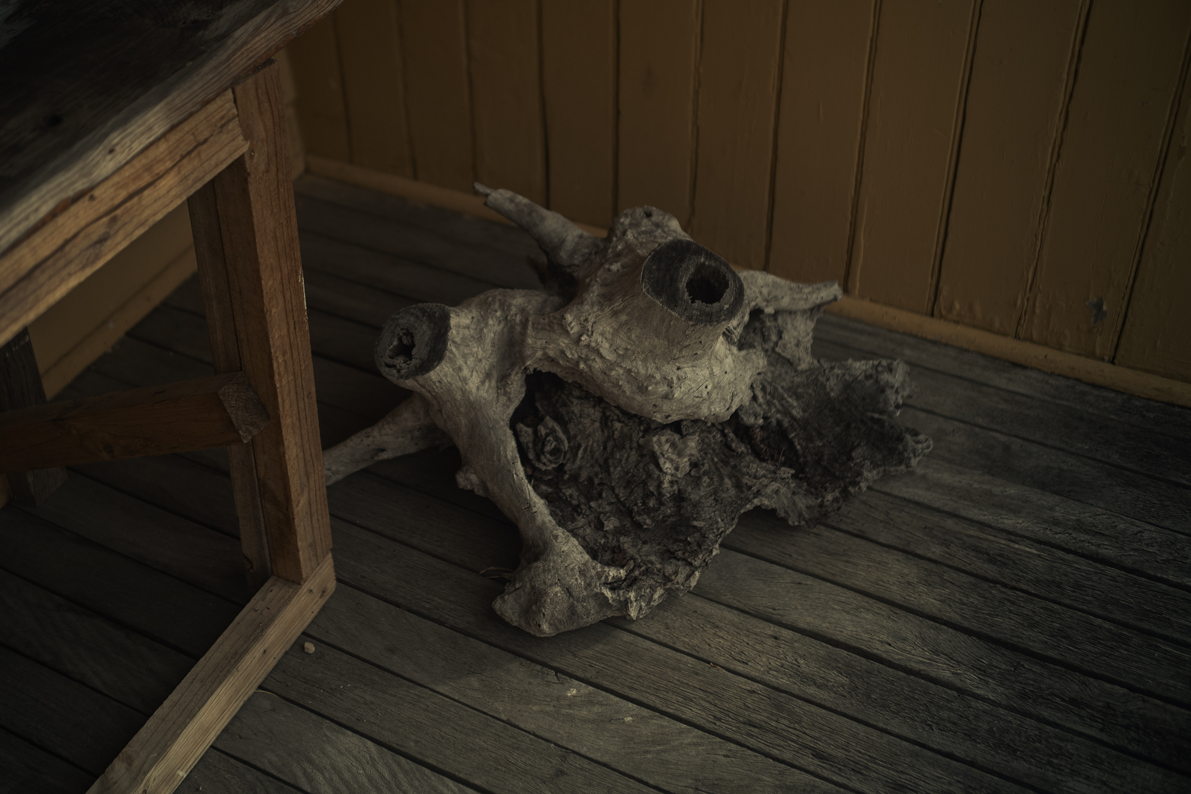 The Collective Force - Life Before Man