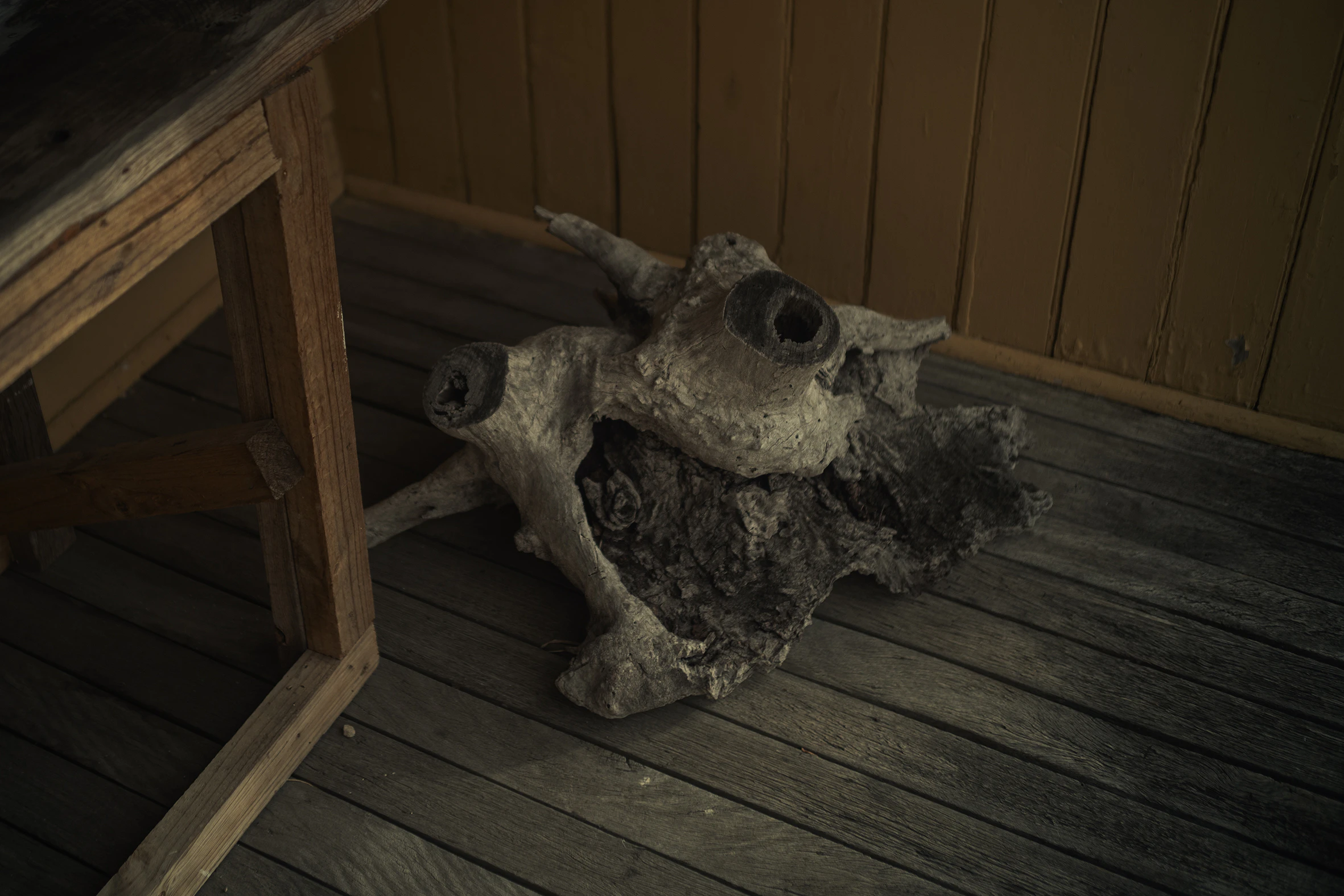 The Collective Force - Life Before Man