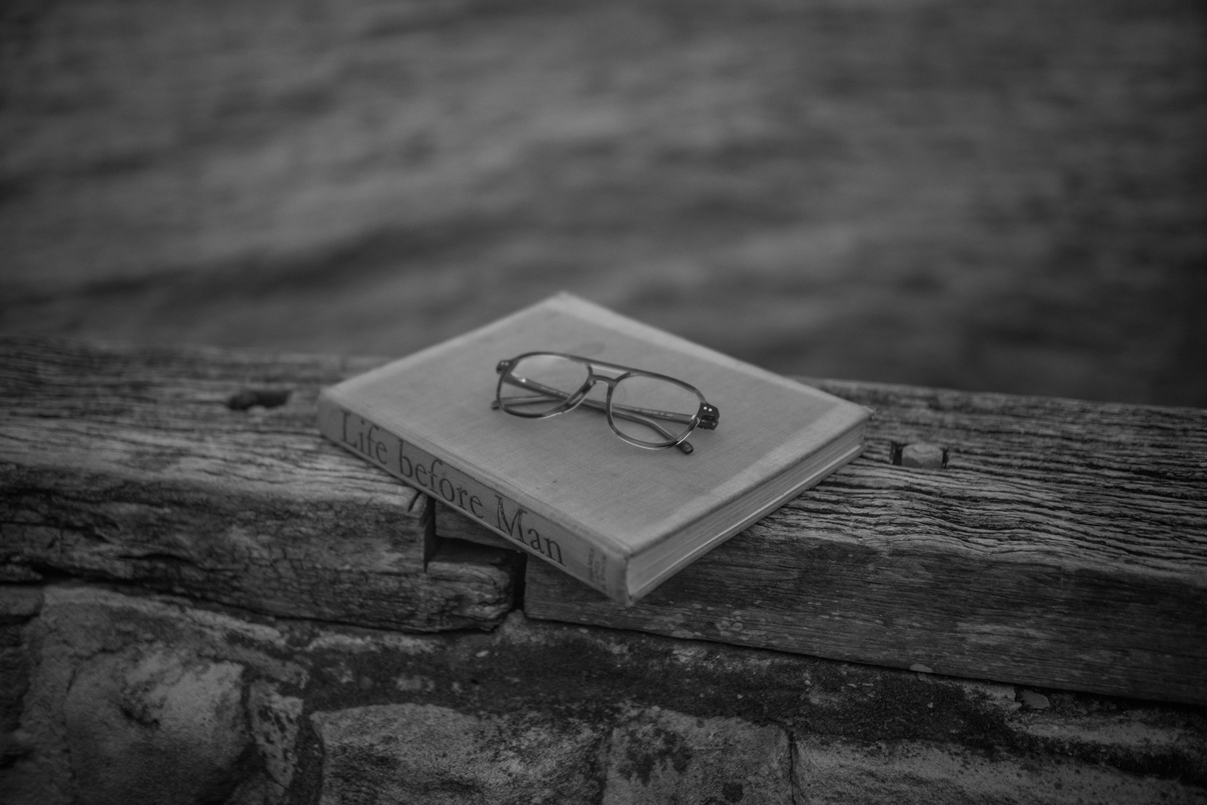 The Collective Force - Life Before Man