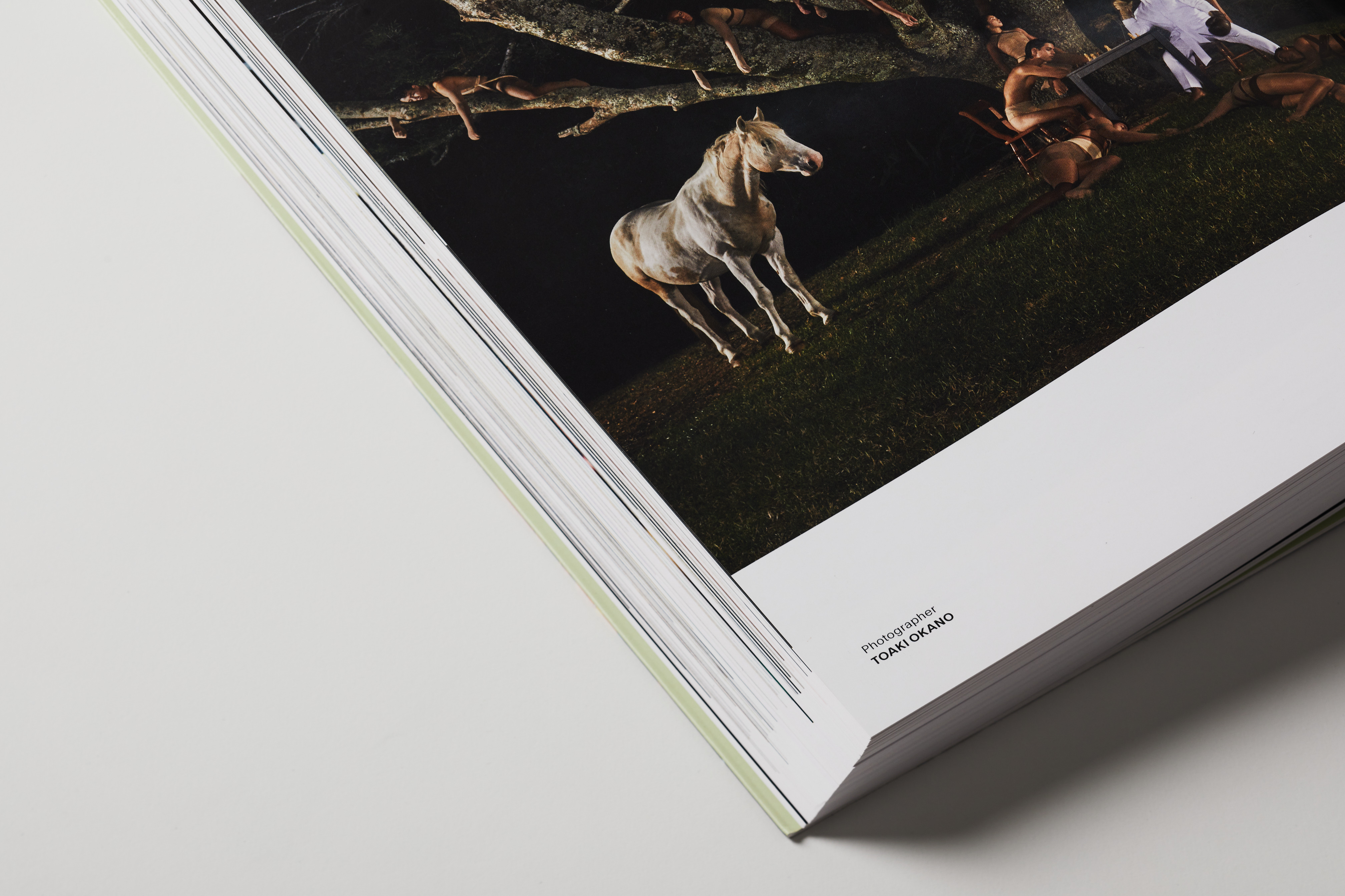 The Collective Force - Lürzer's Archive Best 200 Photographers Worldwide