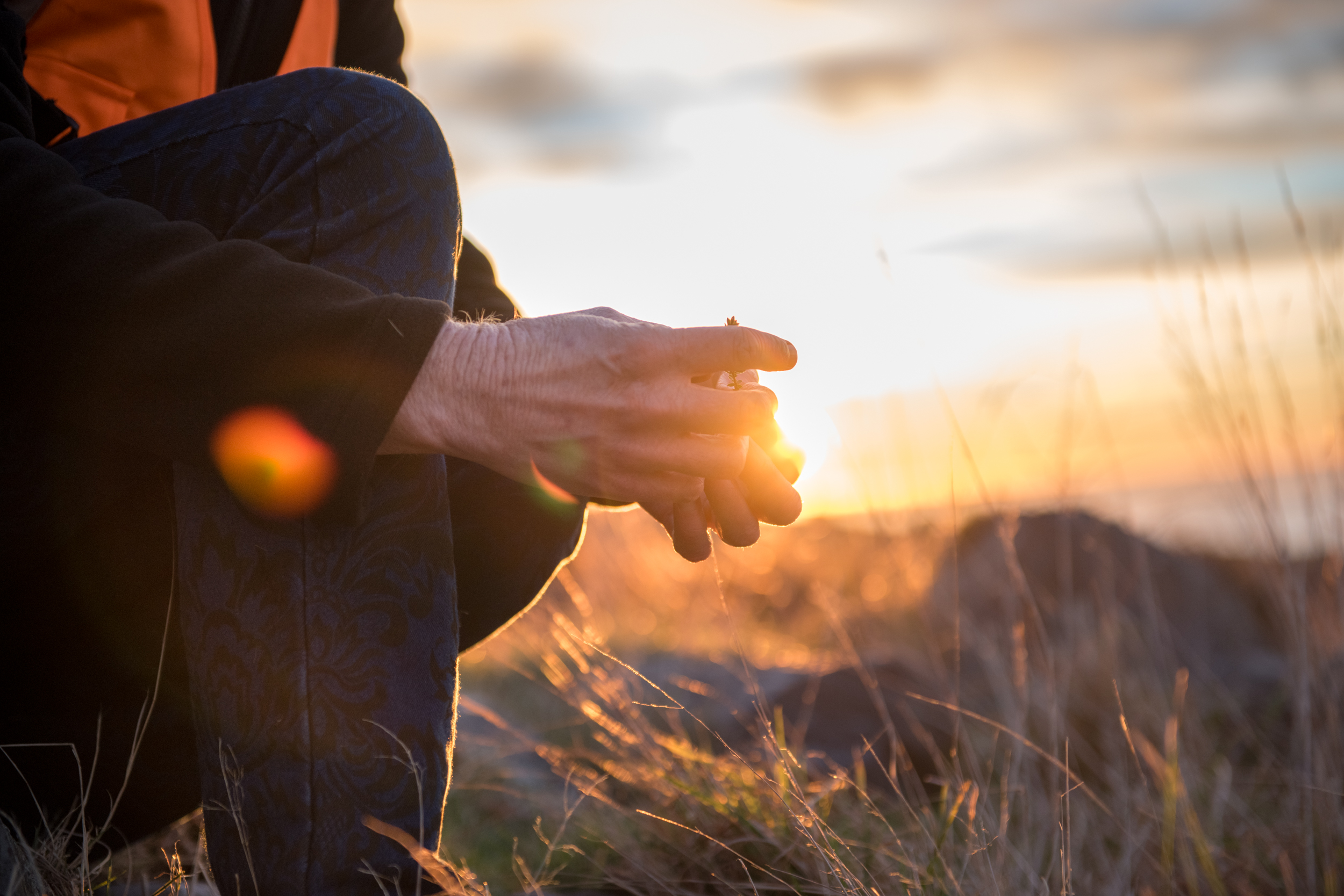 The Collective Force - Manaaki Whenua | Landcare Research