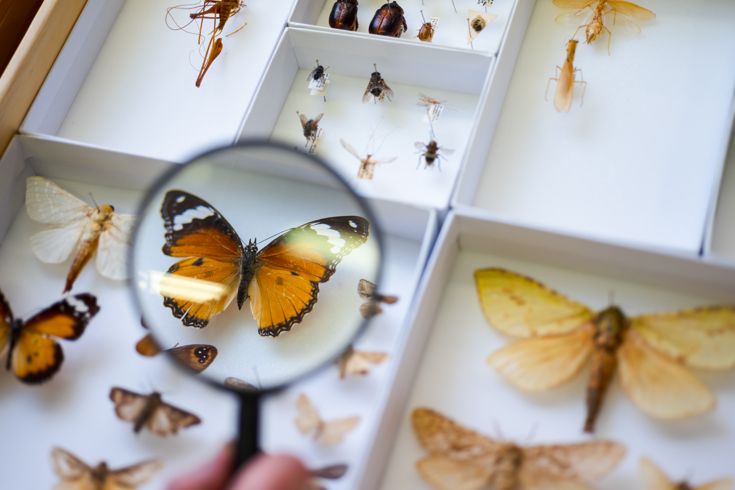 The Collective Force - Manaaki Whenua | Landcare Research