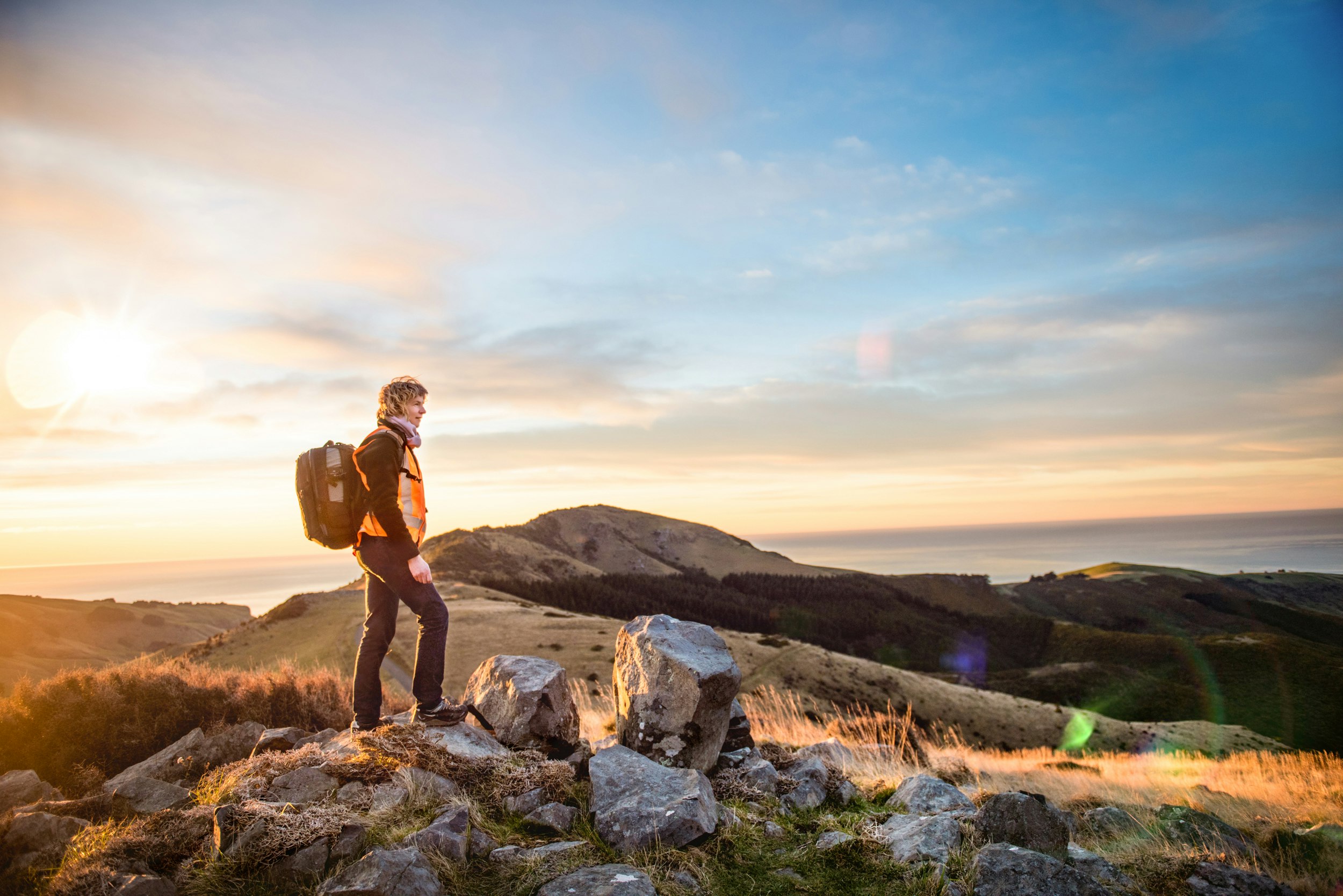 The Collective Force - Manaaki Whenua | Landcare Research