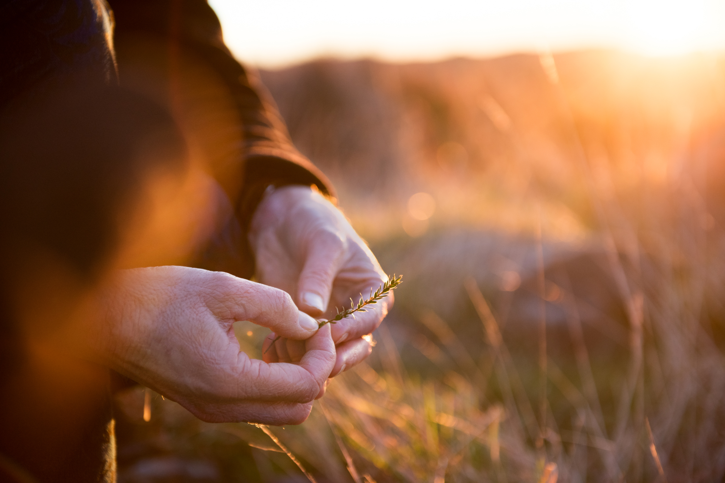 The Collective Force - Manaaki Whenua | Landcare Research
