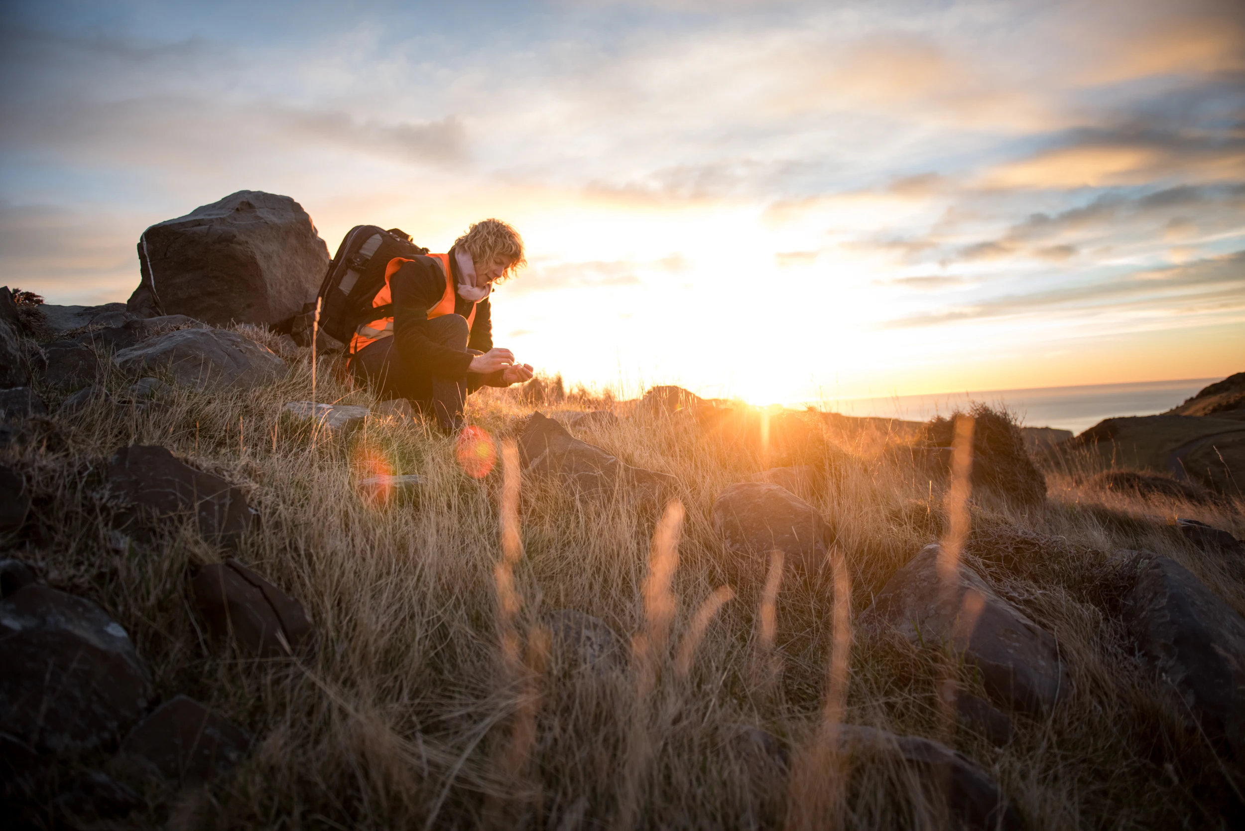 The Collective Force - Manaaki Whenua | Landcare Research