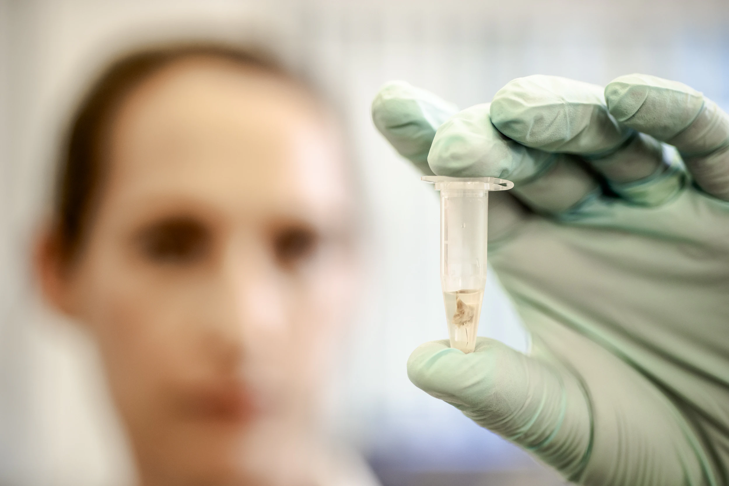 The Collective Force - Manaaki Whenua | Landcare Research