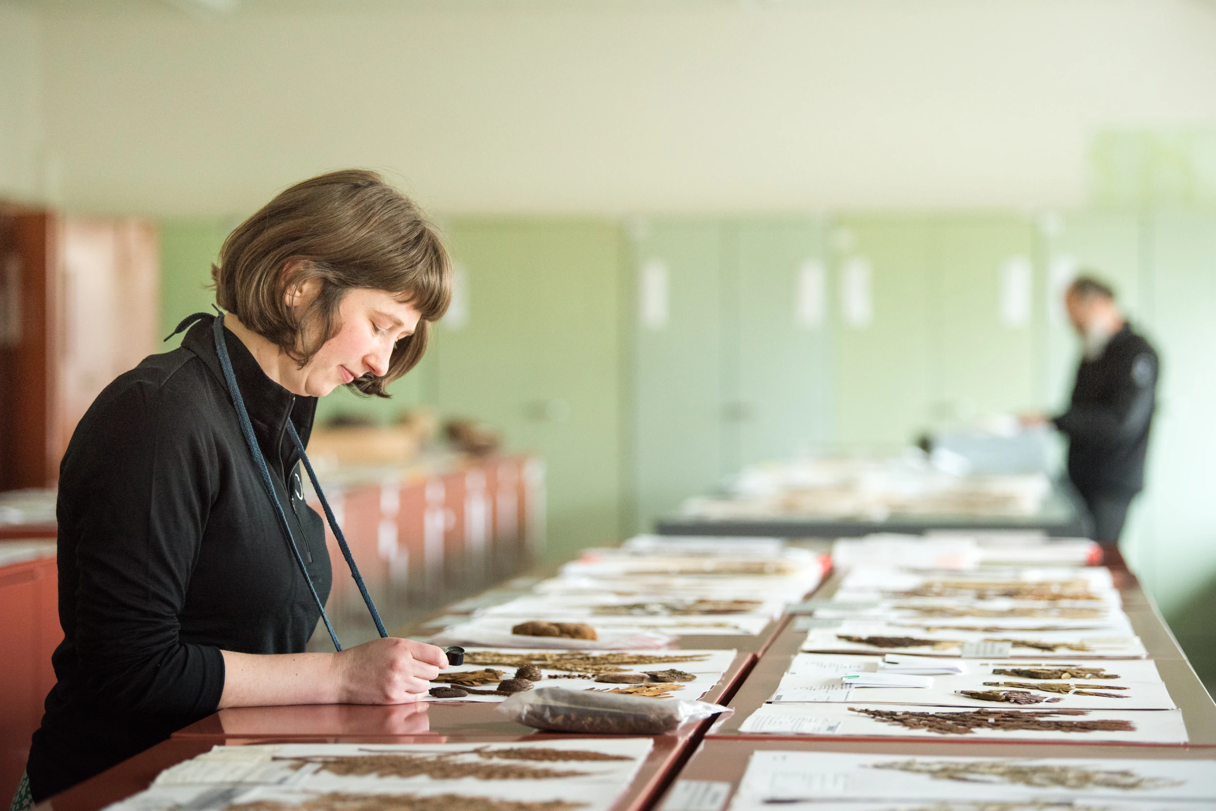 The Collective Force - Manaaki Whenua | Landcare Research