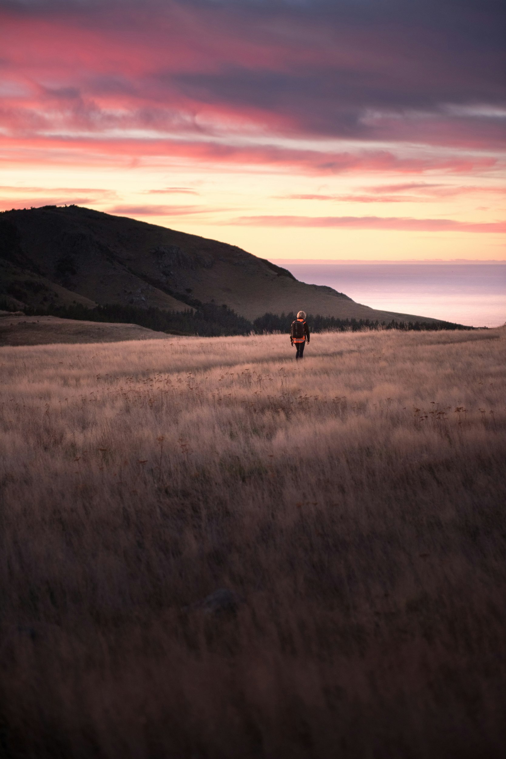 The Collective Force - Manaaki Whenua | Landcare Research