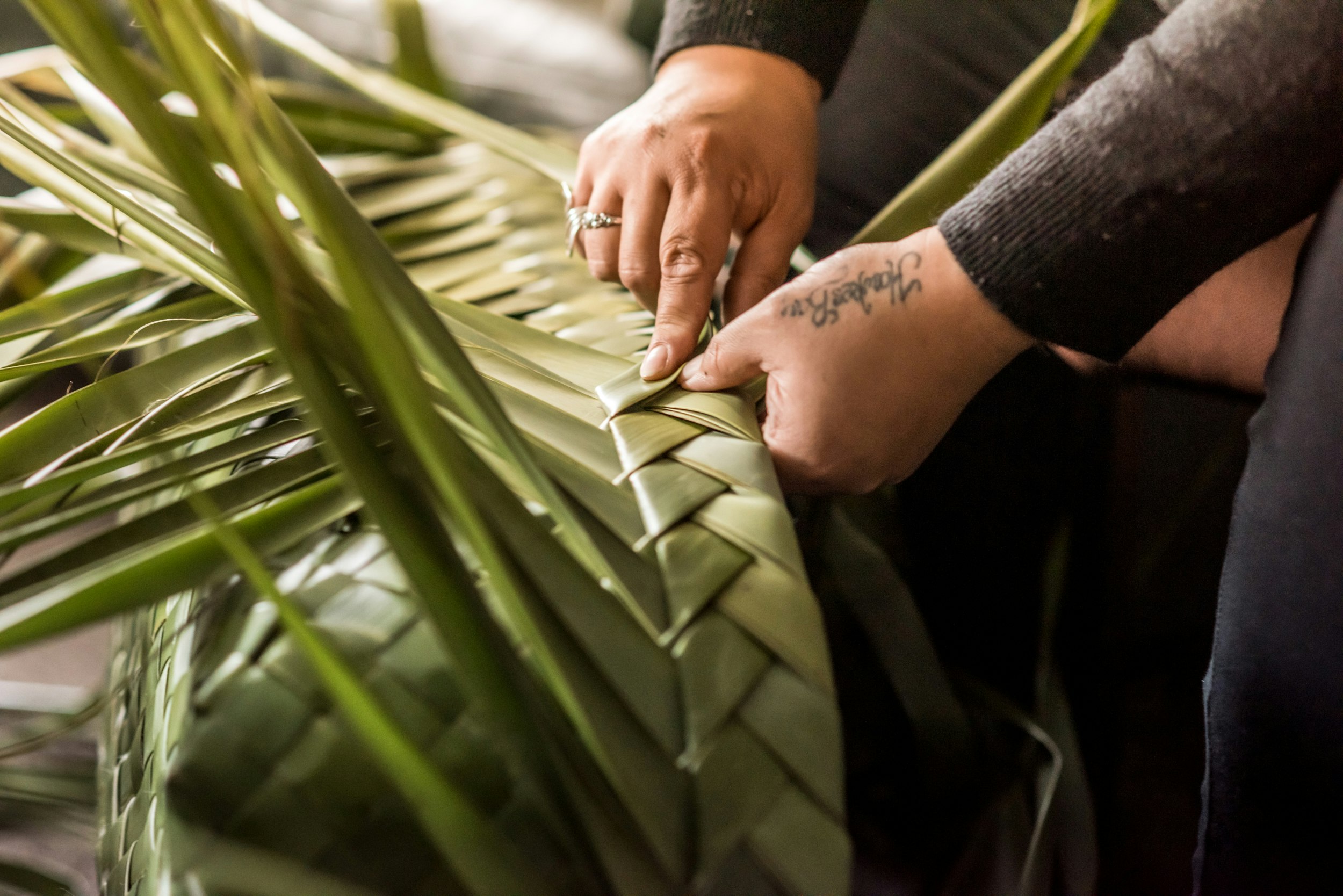 The Collective Force - Manaaki Whenua | Landcare Research