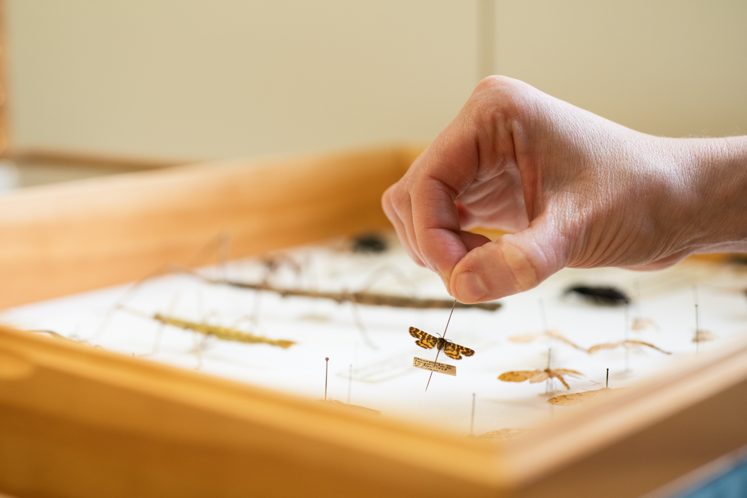 The Collective Force - Manaaki Whenua | Landcare Research