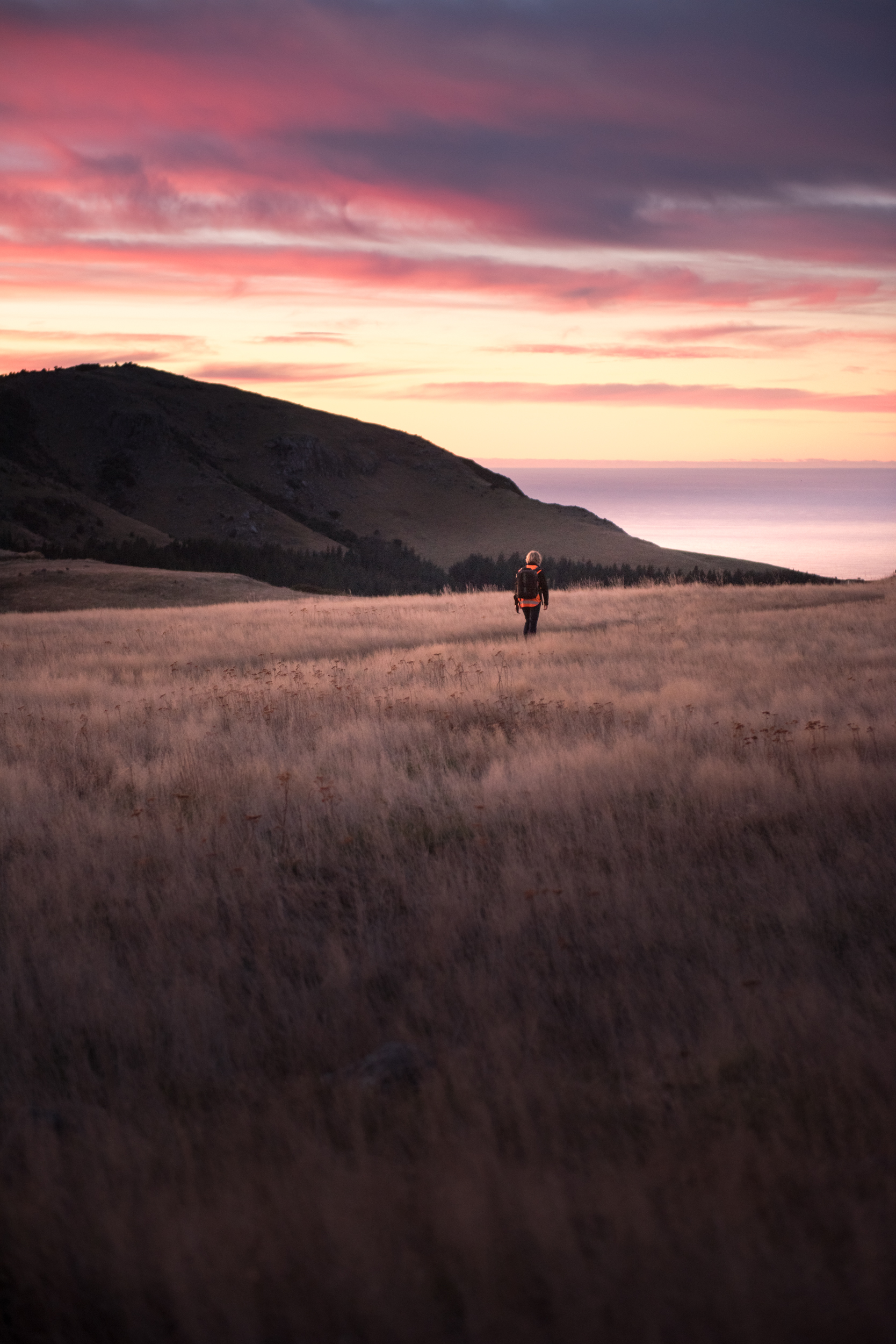 The Collective Force - Manaaki Whenua | Landcare Research