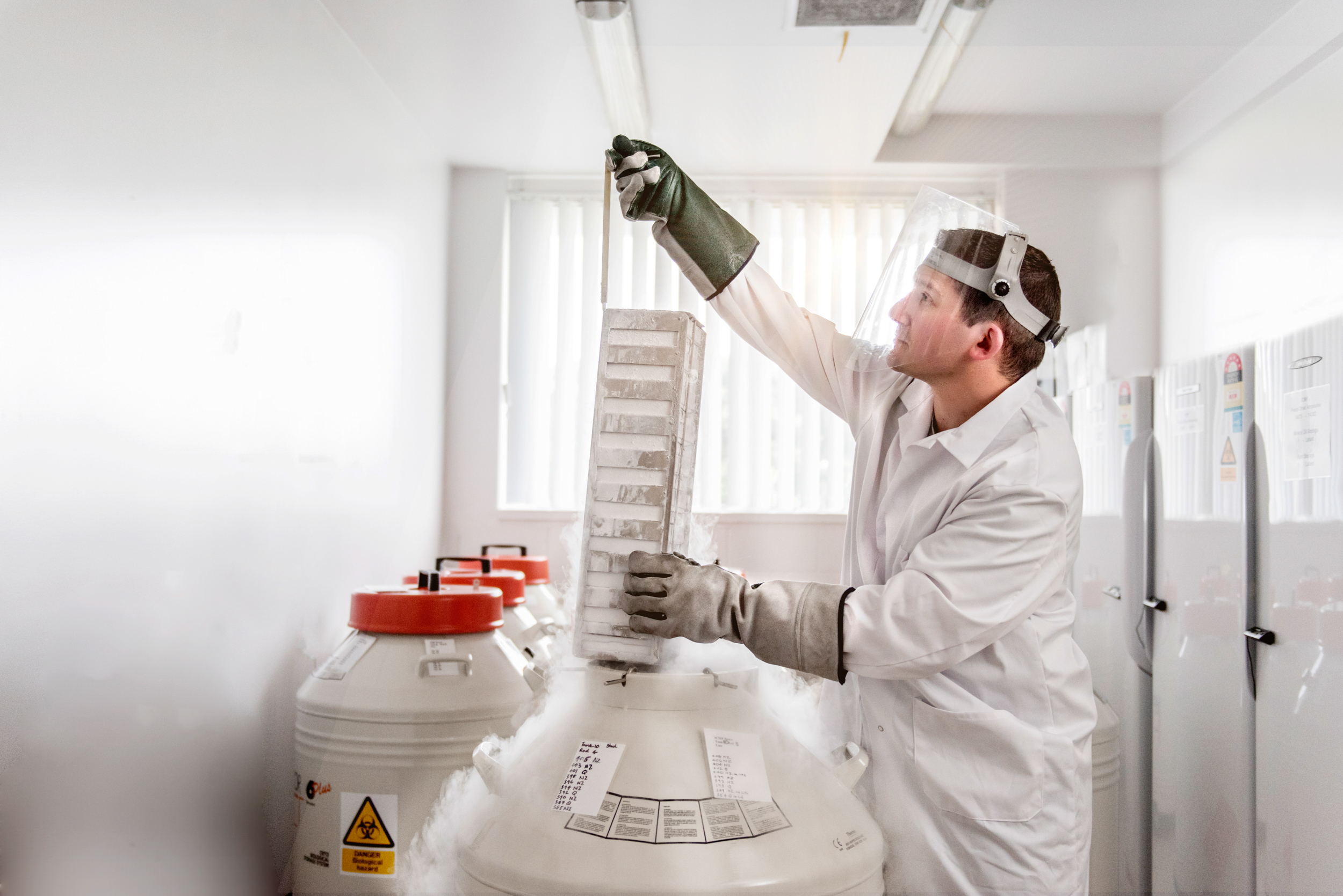 The Collective Force - Manaaki Whenua | Landcare Research