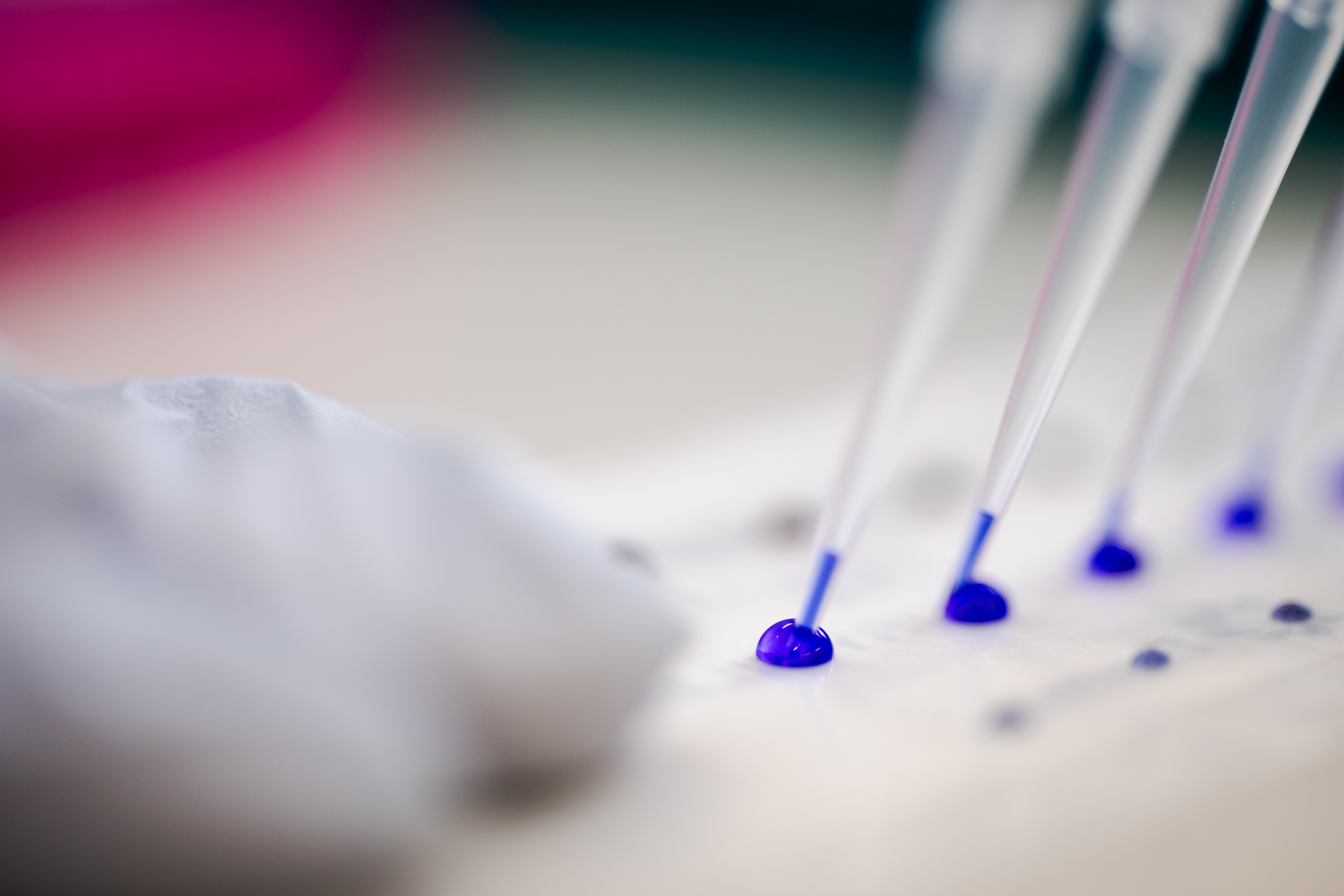 The Collective Force - Manaaki Whenua | Landcare Research