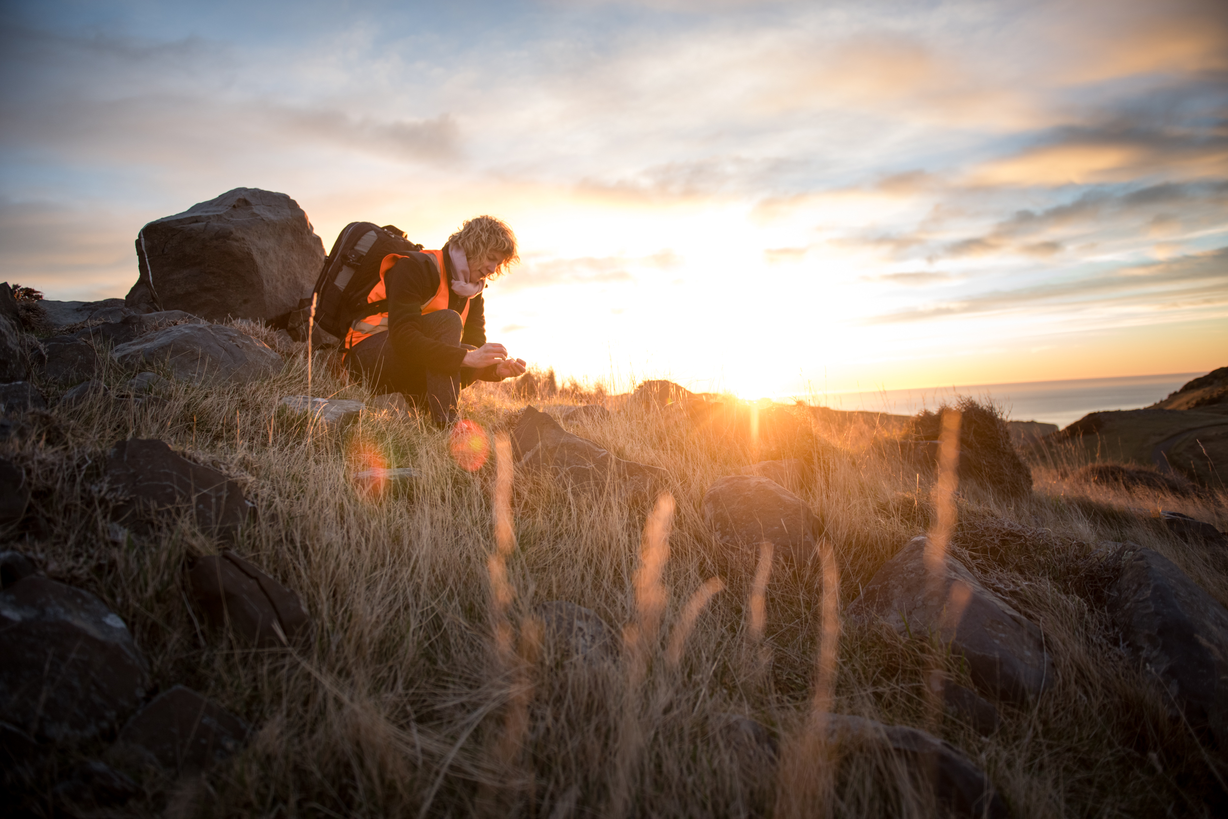 The Collective Force - Manaaki Whenua | Landcare Research
