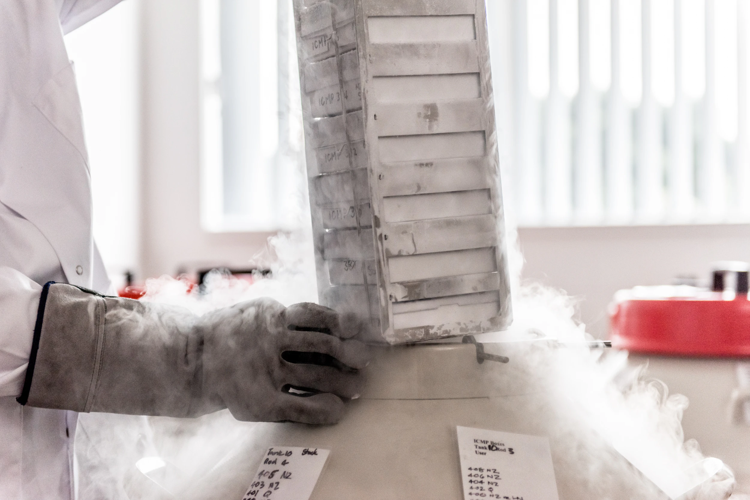 The Collective Force - Manaaki Whenua | Landcare Research