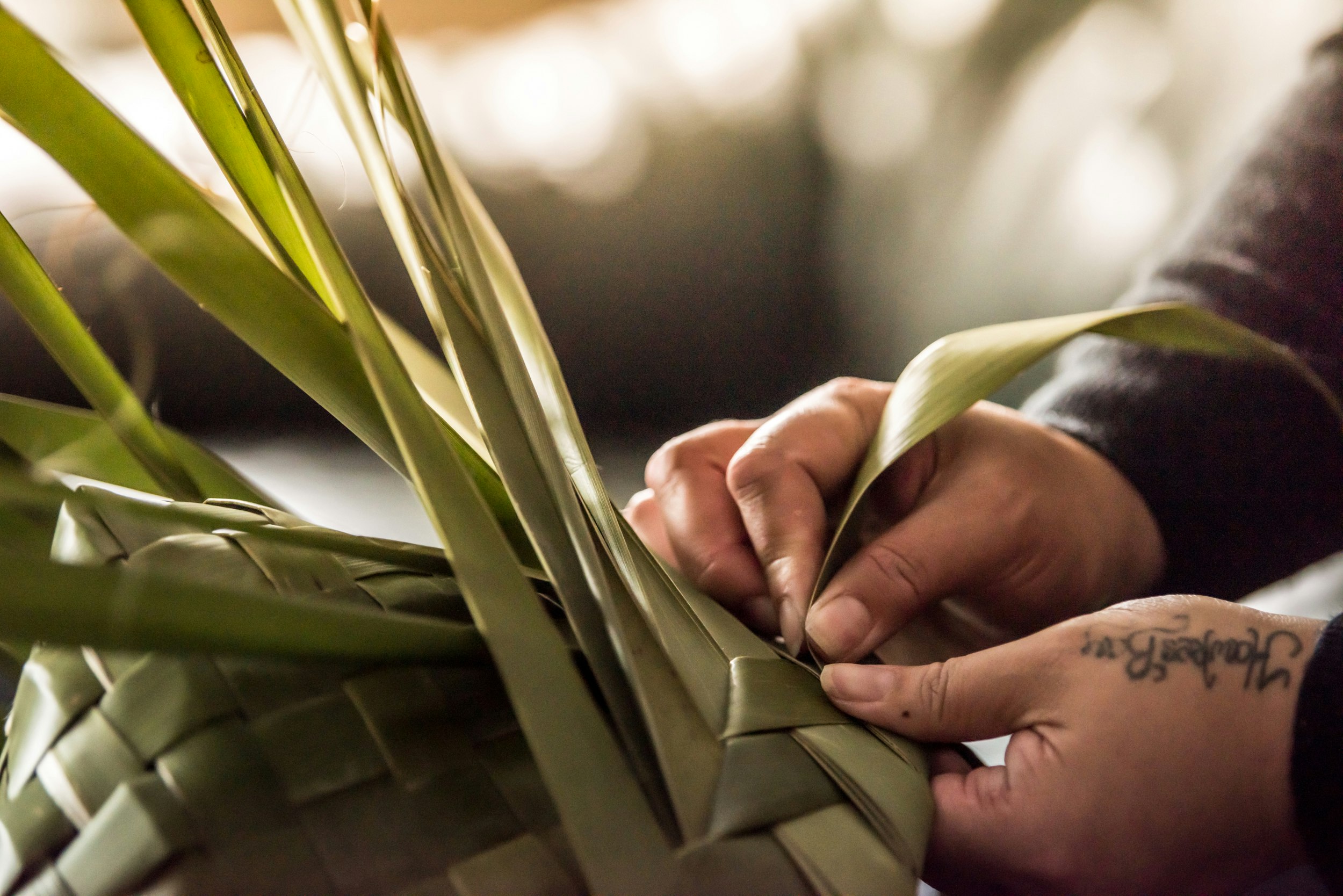 The Collective Force - Manaaki Whenua | Landcare Research