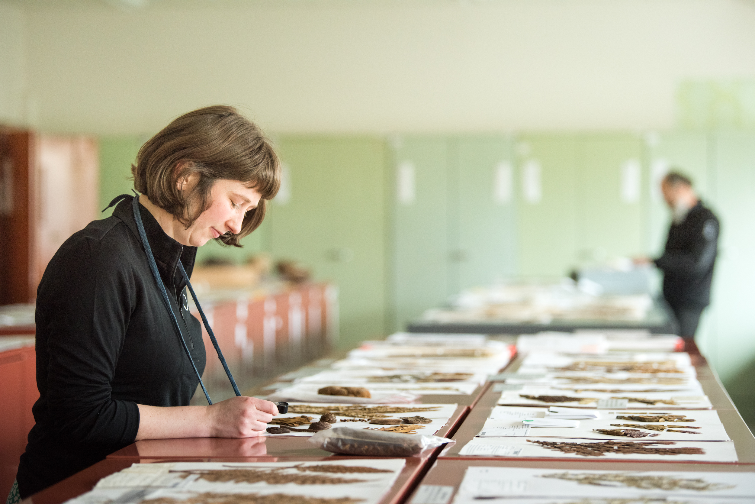 The Collective Force - Manaaki Whenua | Landcare Research