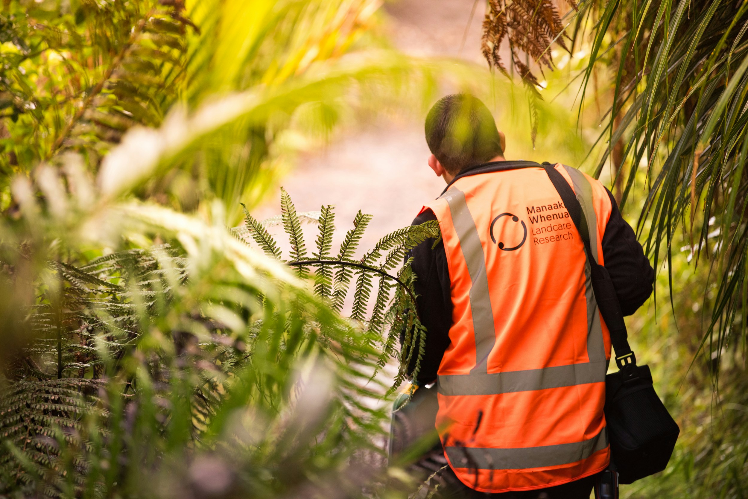 The Collective Force - Manaaki Whenua | Landcare Research