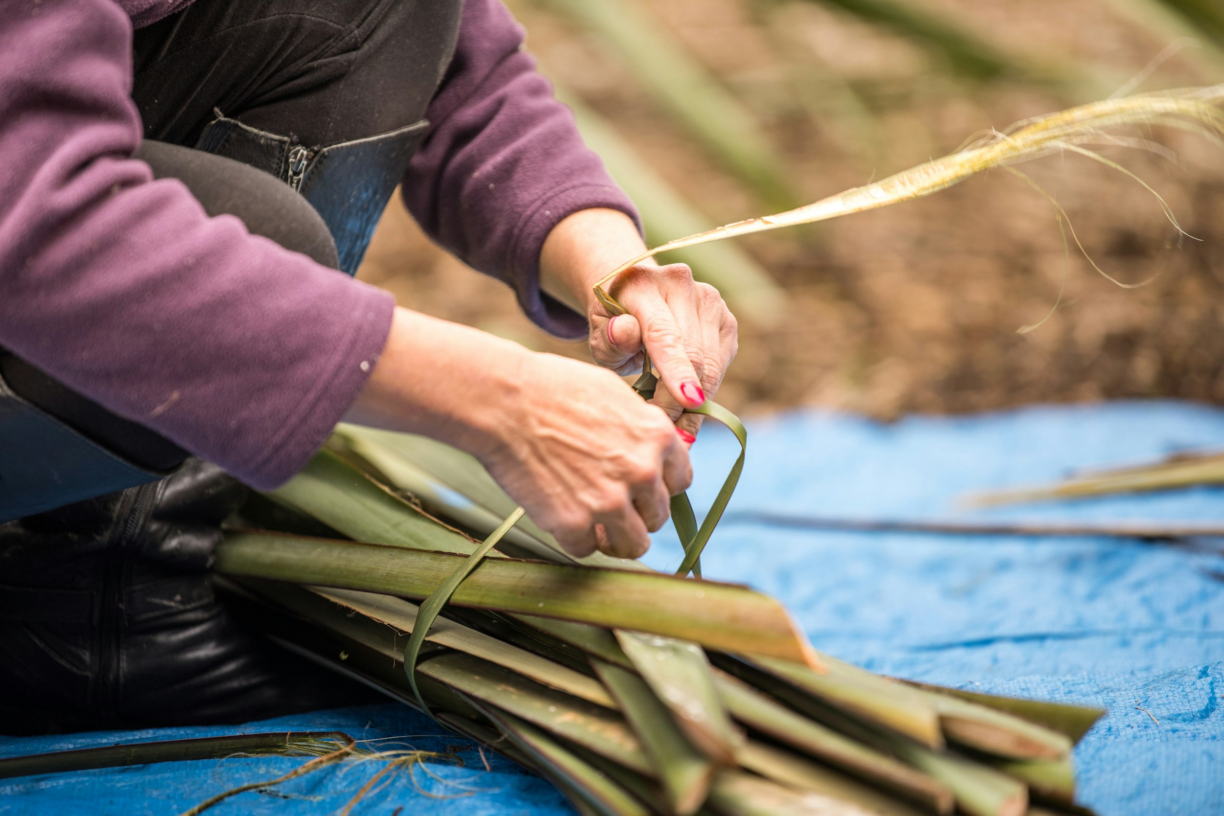 The Collective Force - Manaaki Whenua | Landcare Research