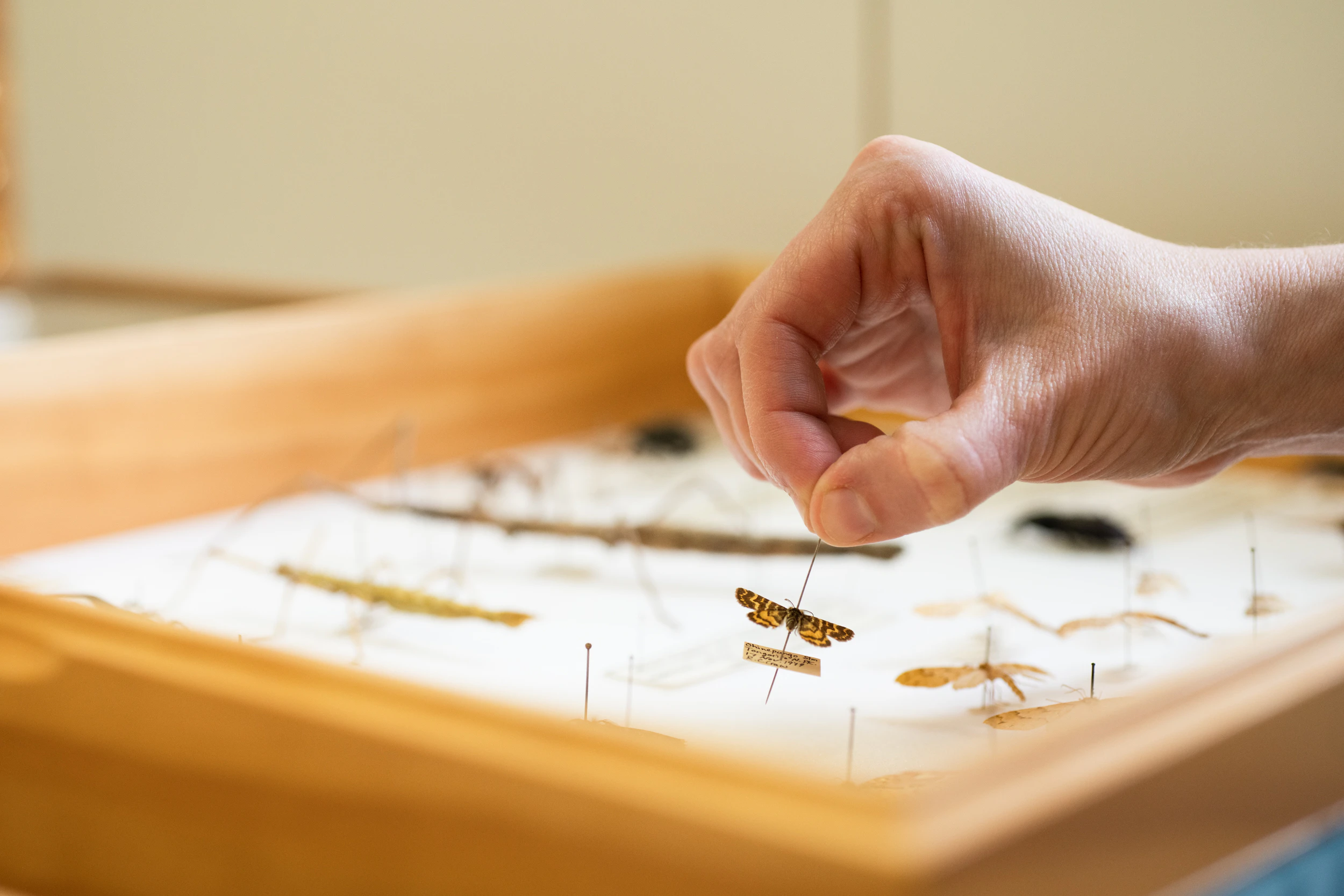 The Collective Force - Manaaki Whenua | Landcare Research